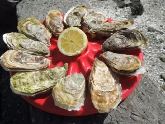 Activities in La Closerie de Sens