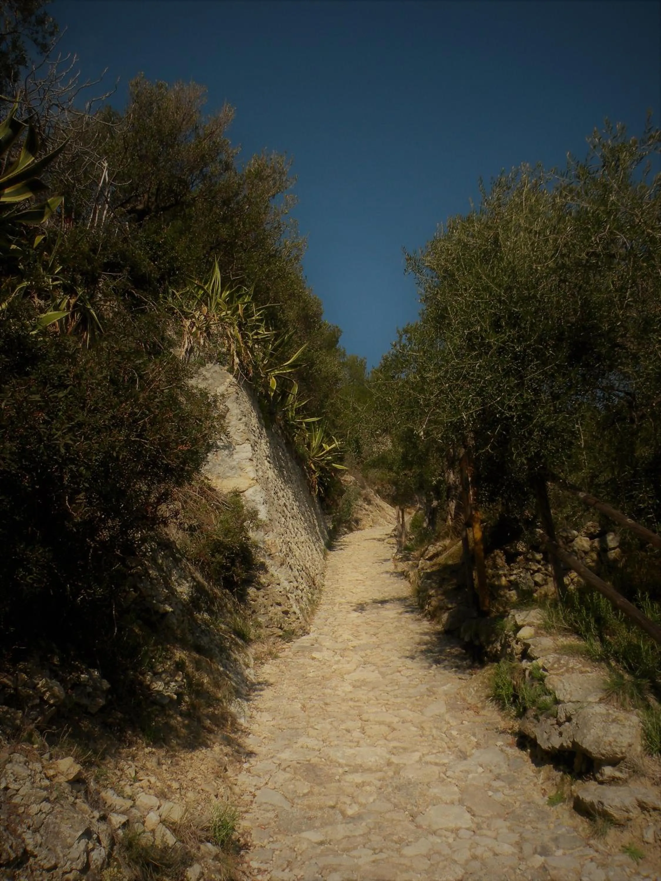 Hiking in HOTEL MALIBU