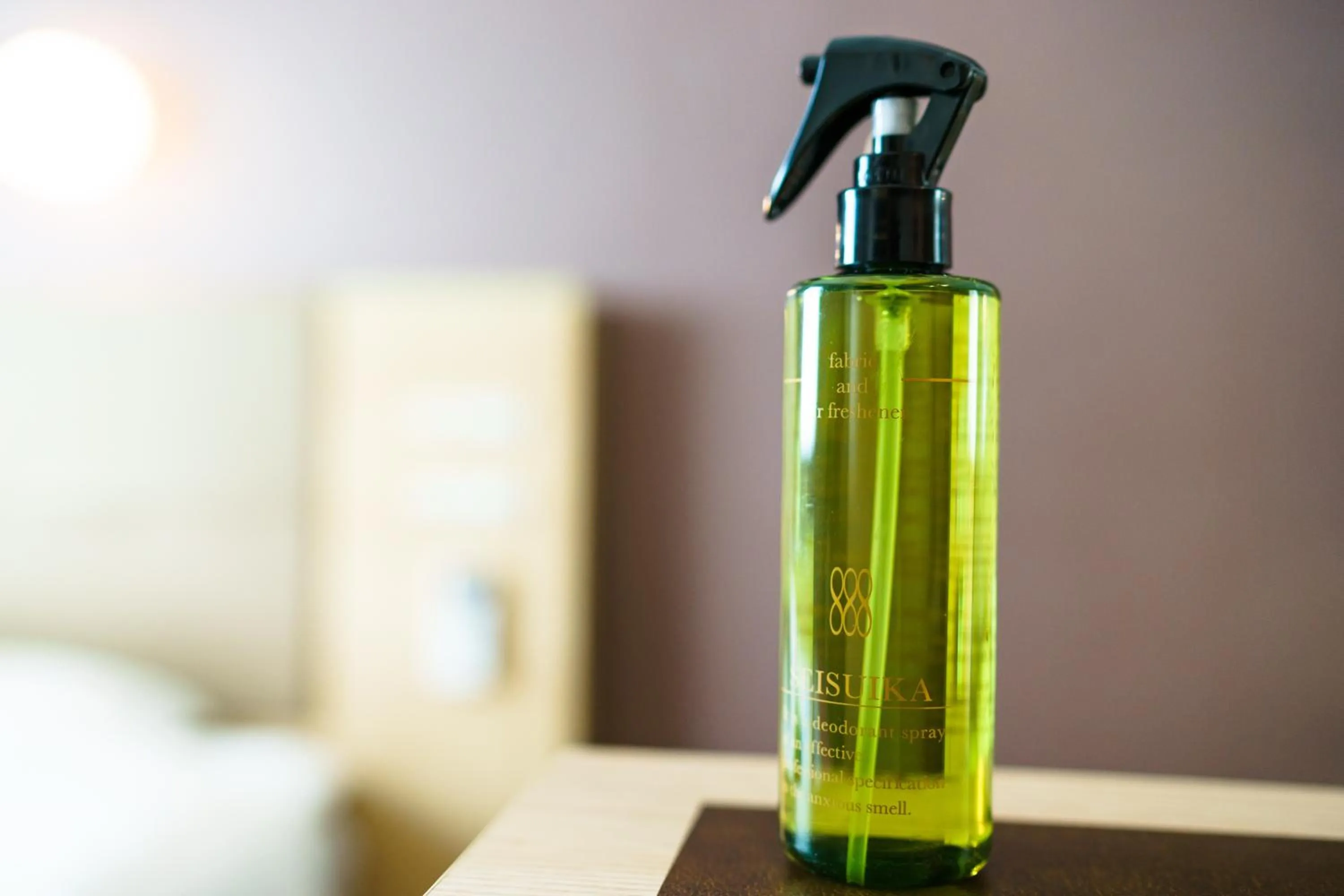 Super Hotel Premier Tokyo Station Yaesu-Chuoguchi