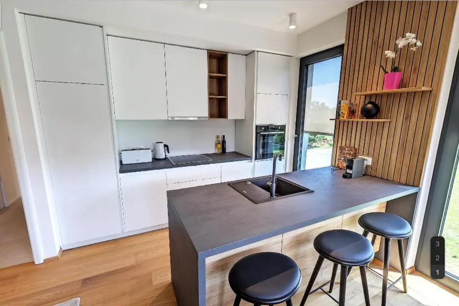 Kitchen or kitchenette in Regentova Suites Ljubljana