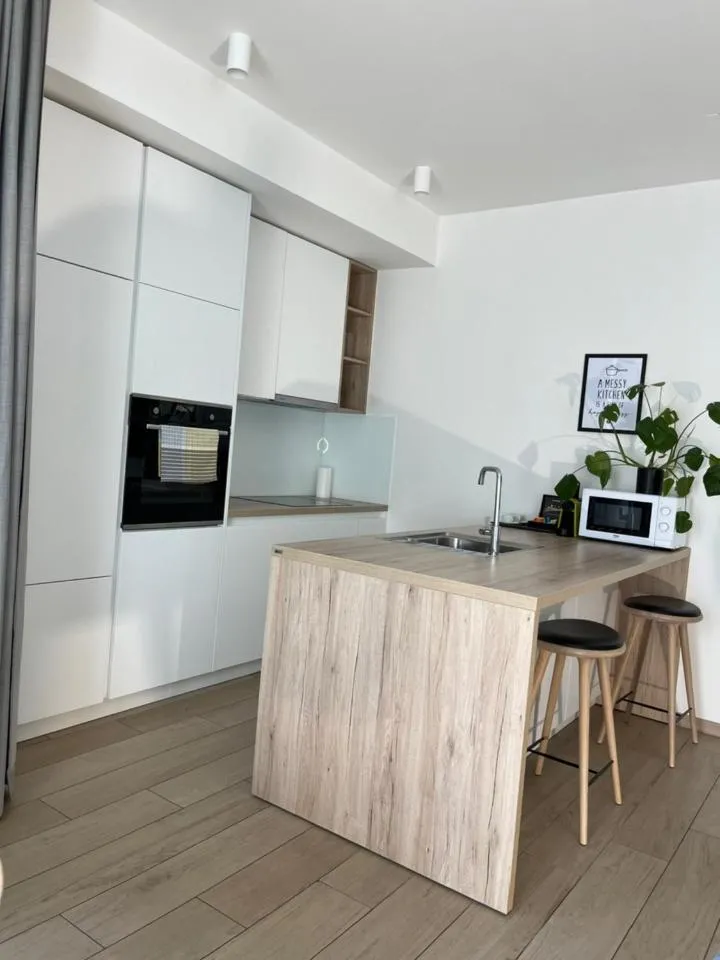 Kitchen or kitchenette in Regentova Suites Ljubljana