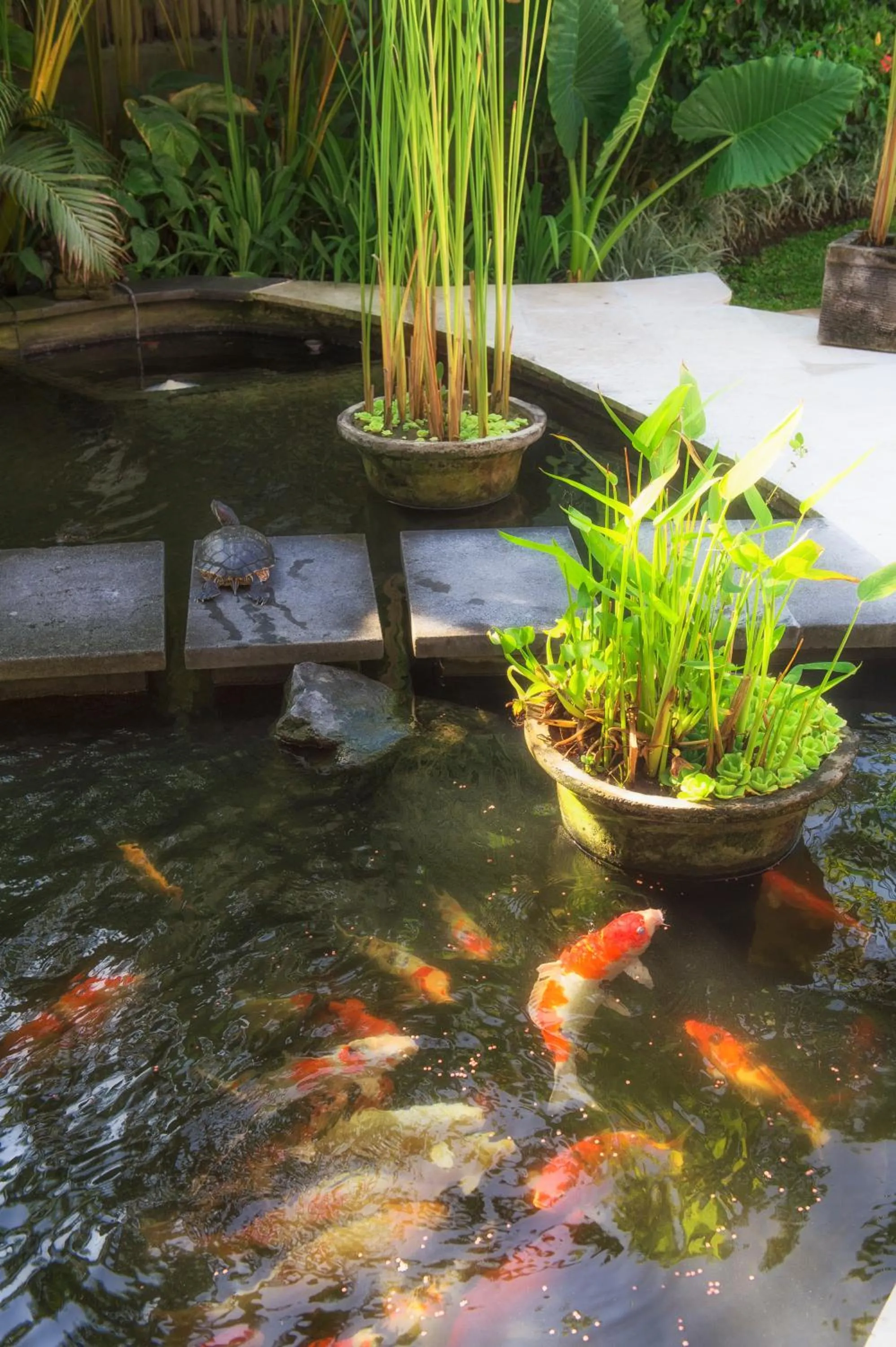 Garden in Elina Villas Seminyak