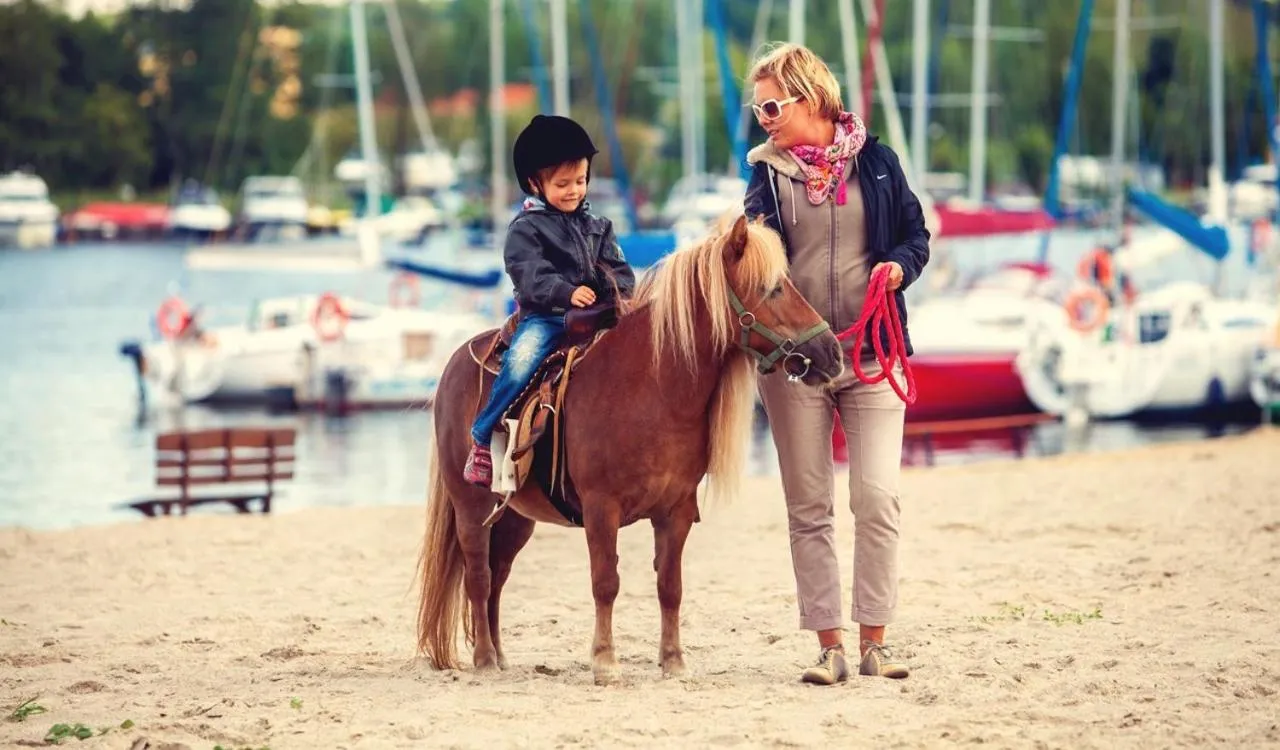 Horse-riding in Hotel Gołębiewski Mikołajki