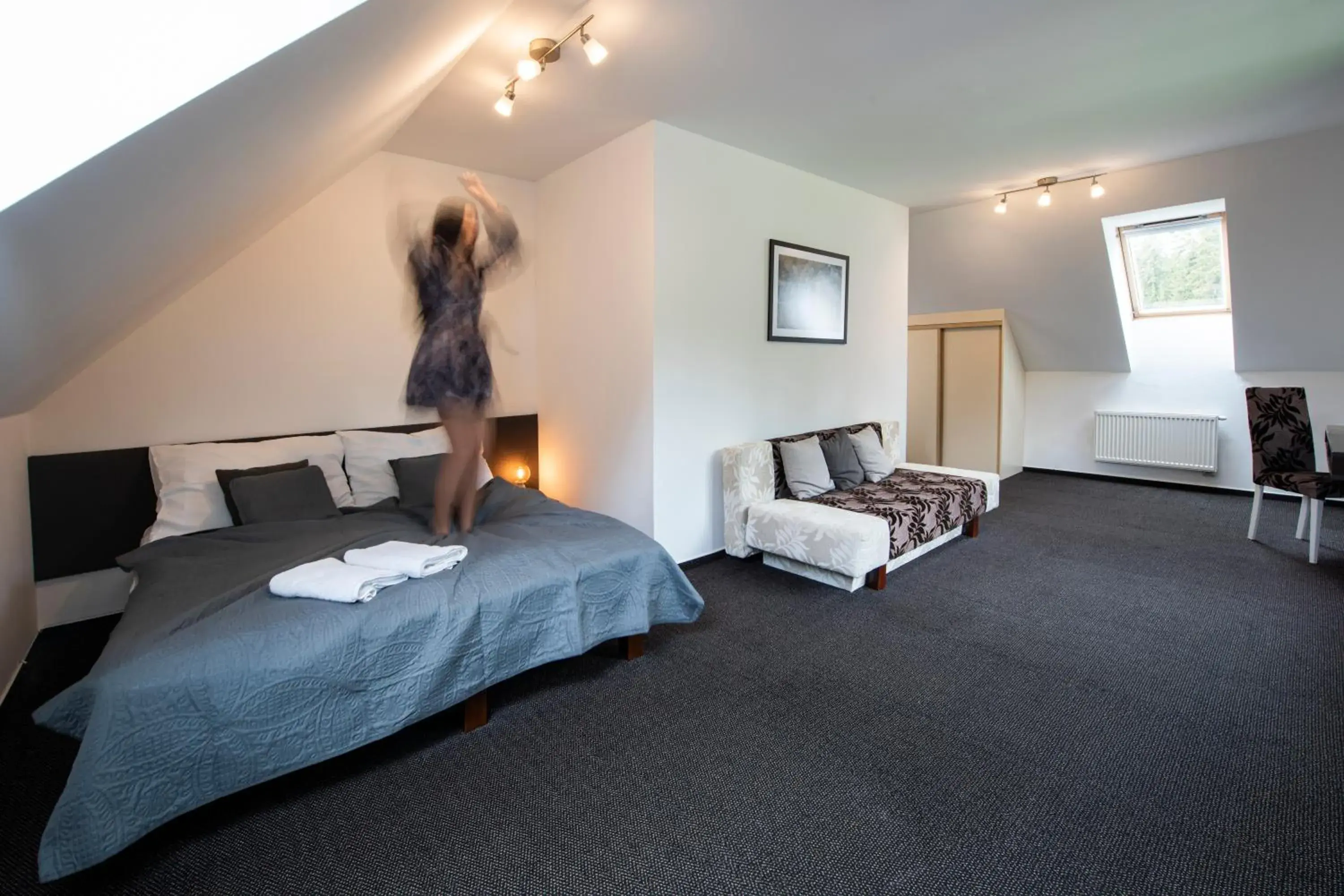 Double Room (2 Adults + 2 Children) - single occupancy in Penzion Sileo Double Room (2 Adults + 2 Children) - single occupancy in Penzion Sileo