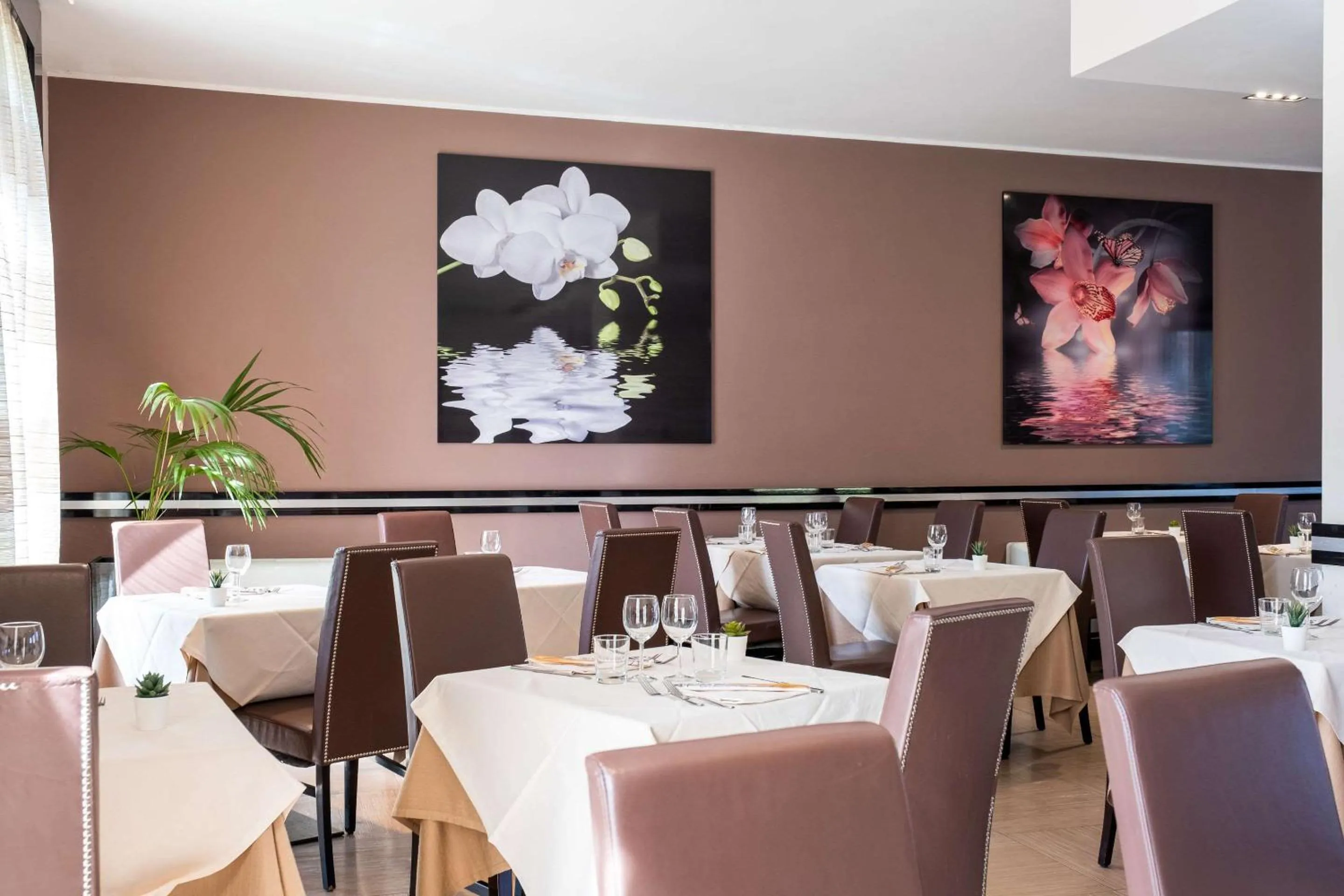 Restaurant/places to eat in Quality Hotel Green Palace