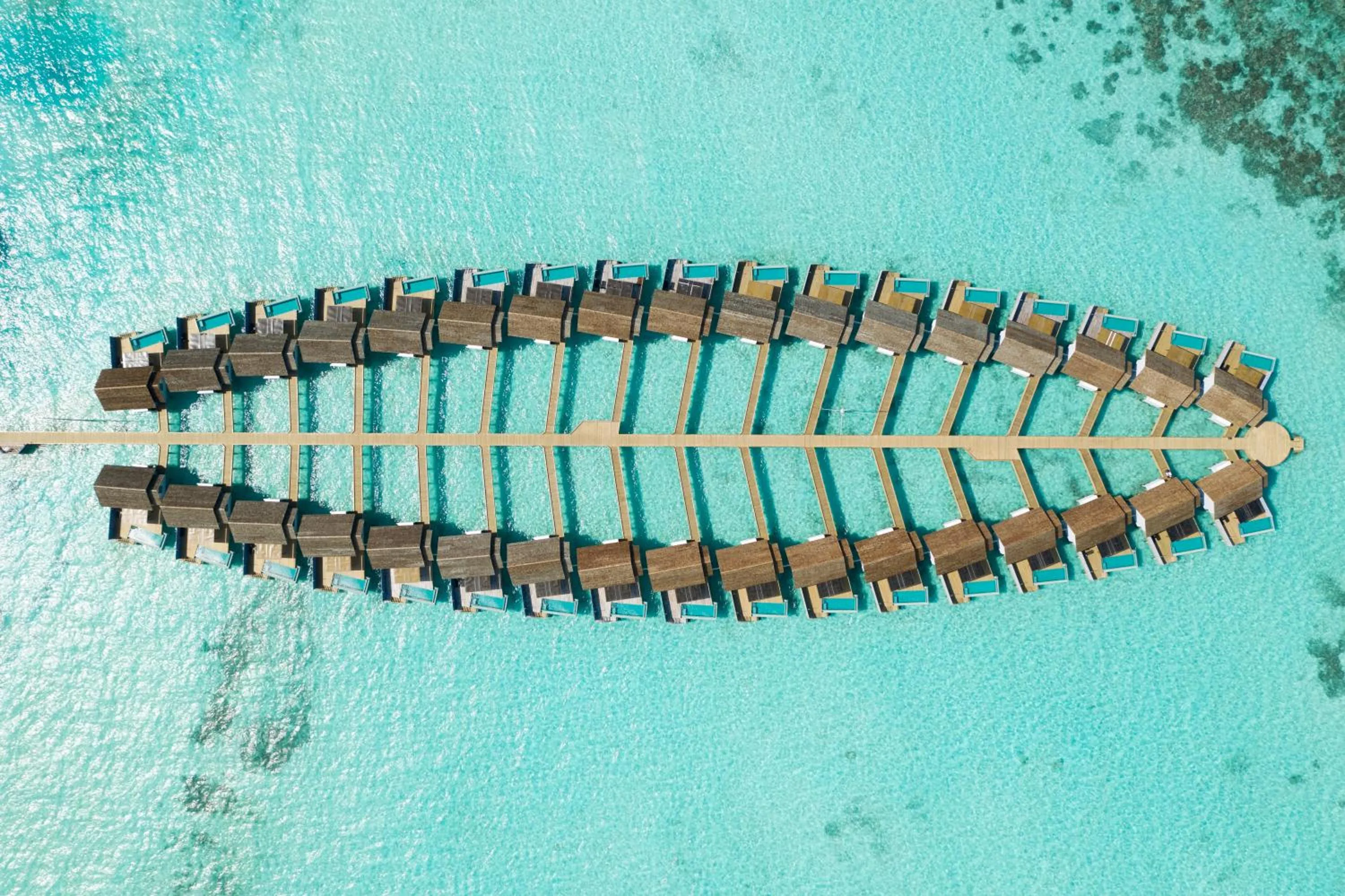 Pool view in OUTRIGGER Maldives Maafushivaru Resort