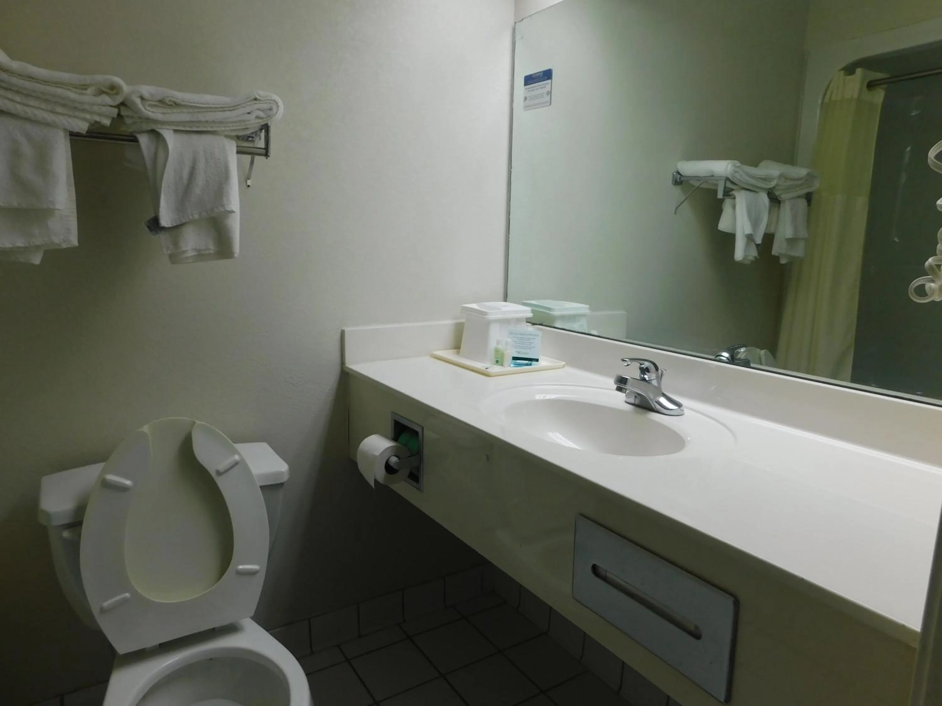 Bathroom in Quality Inn & Suites Thomasville I-85