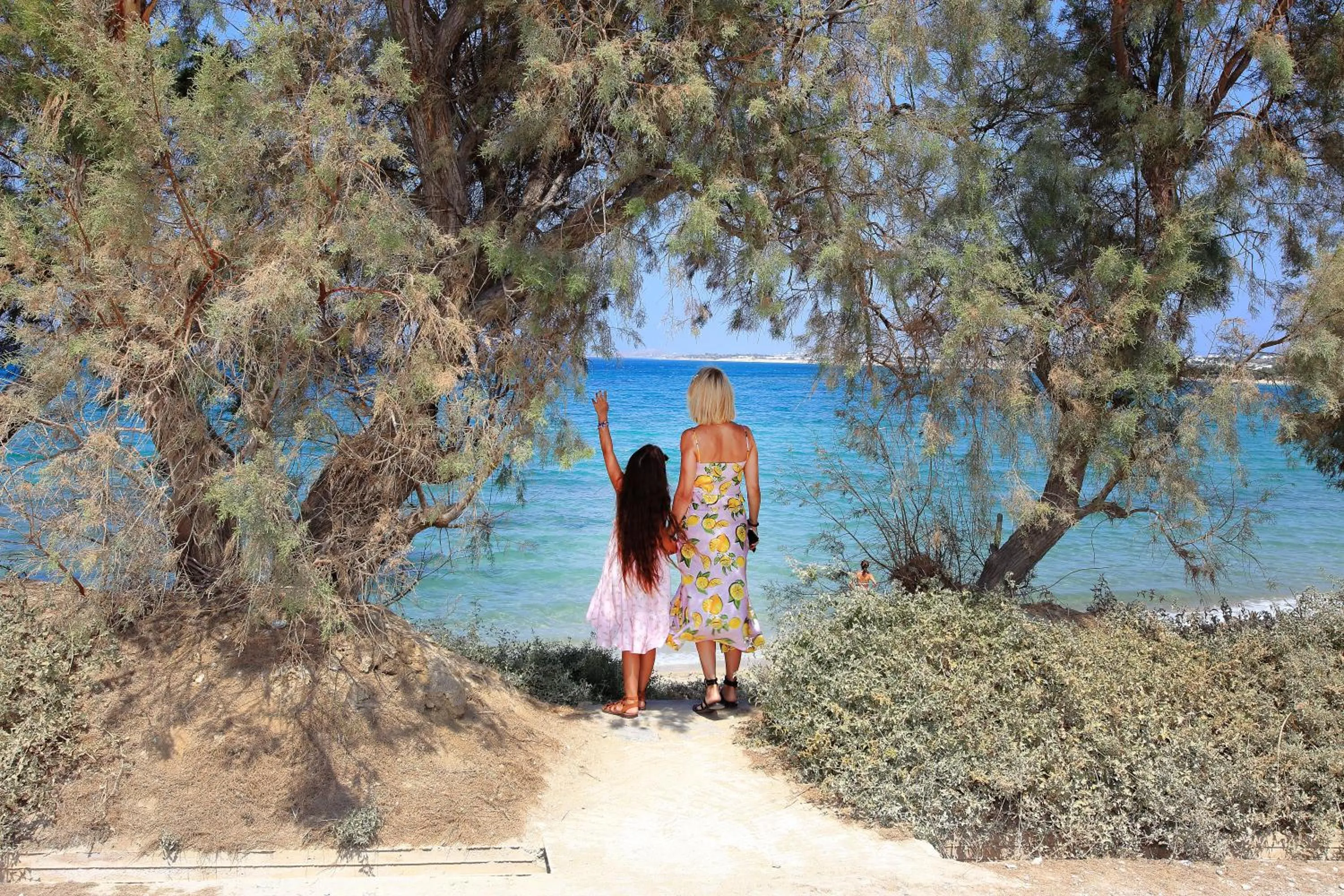 Beach in Villa Paradise in Naxos