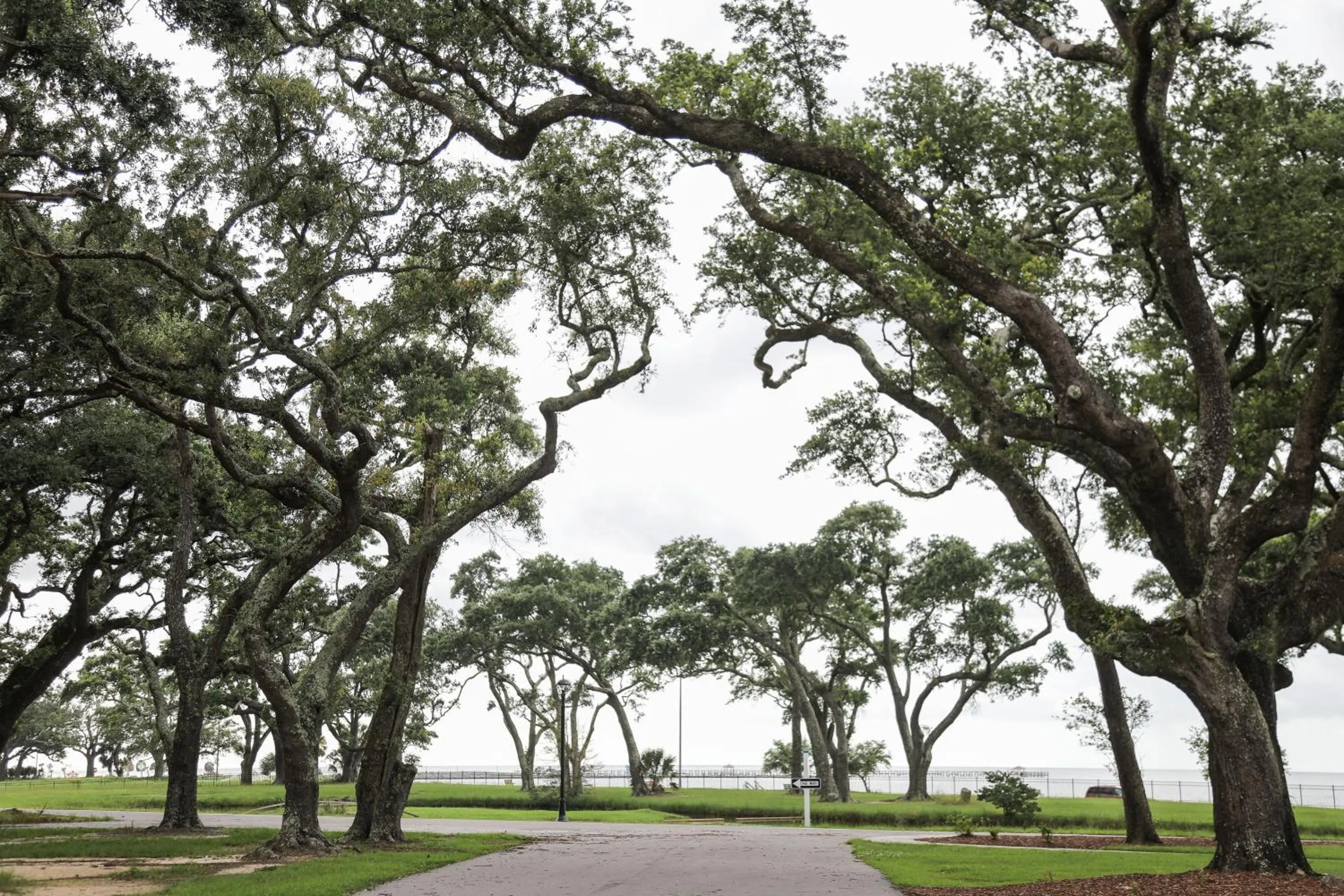 Natural landscape in Centennial Plaza Resort Gulfport