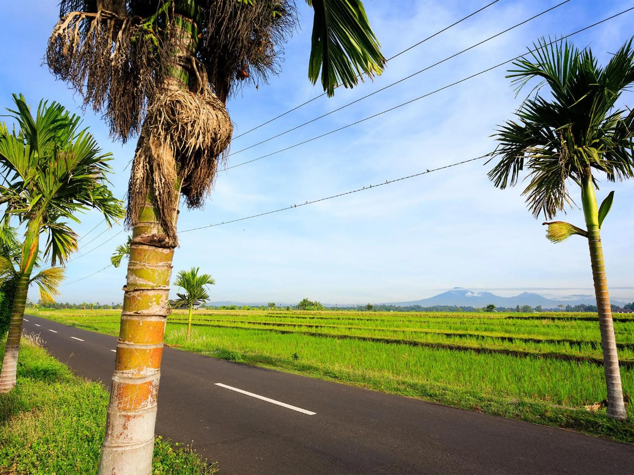 Villa Maridadi by Elite Havens