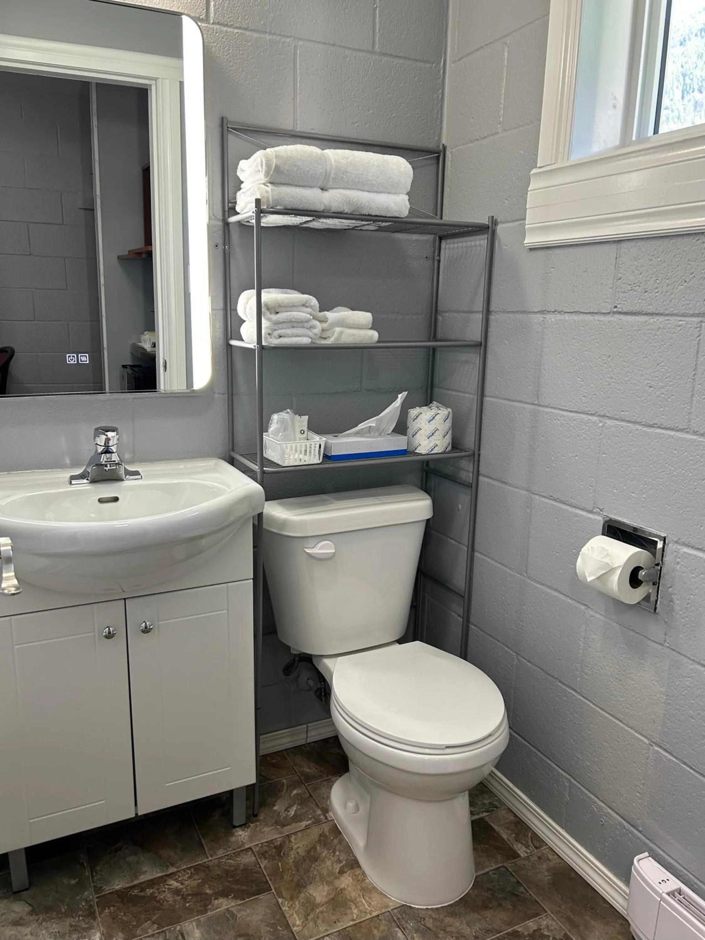 Toilet in Arrow Lake Motel