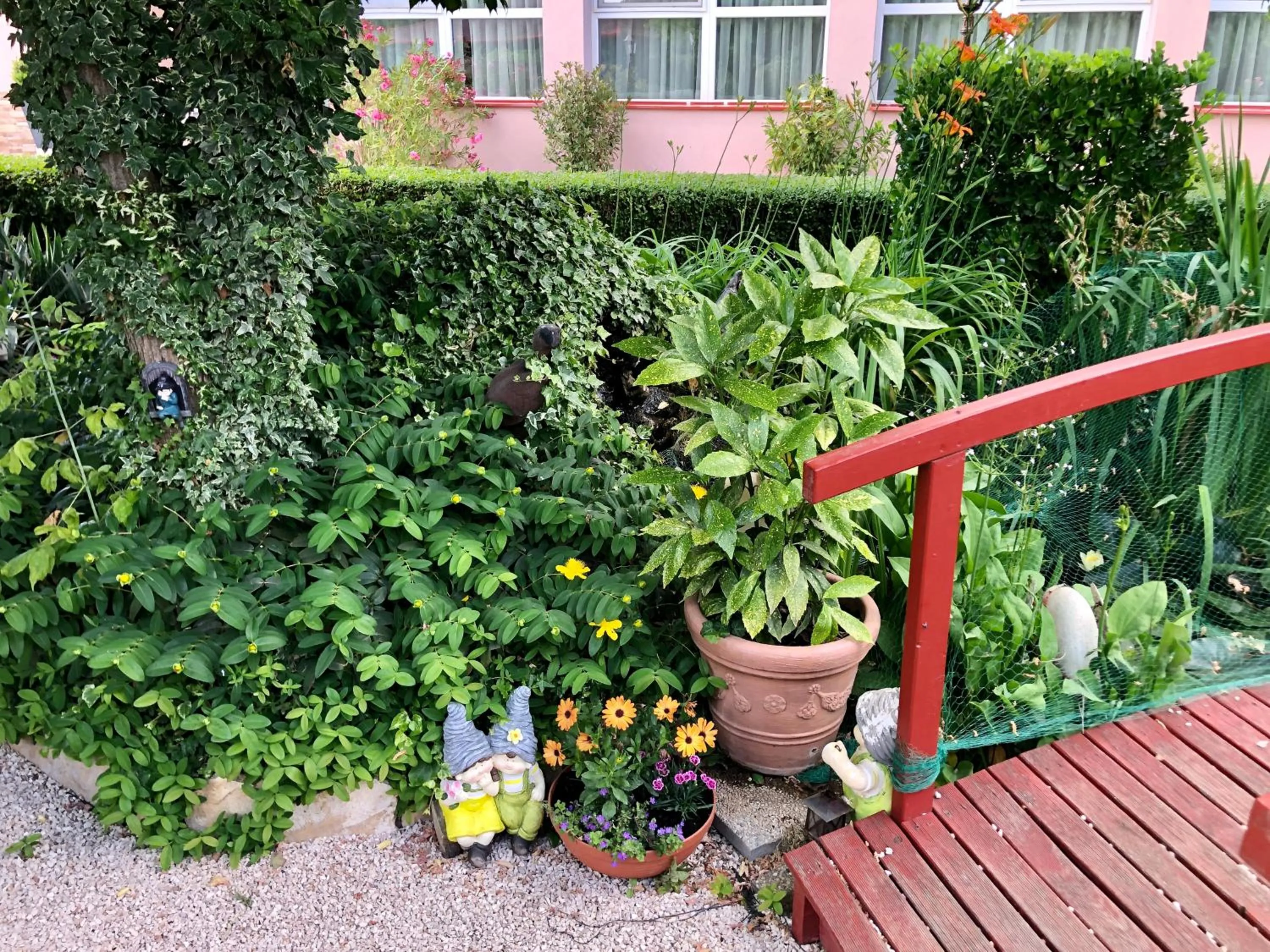 Garden in Katalin Motel & Étterem