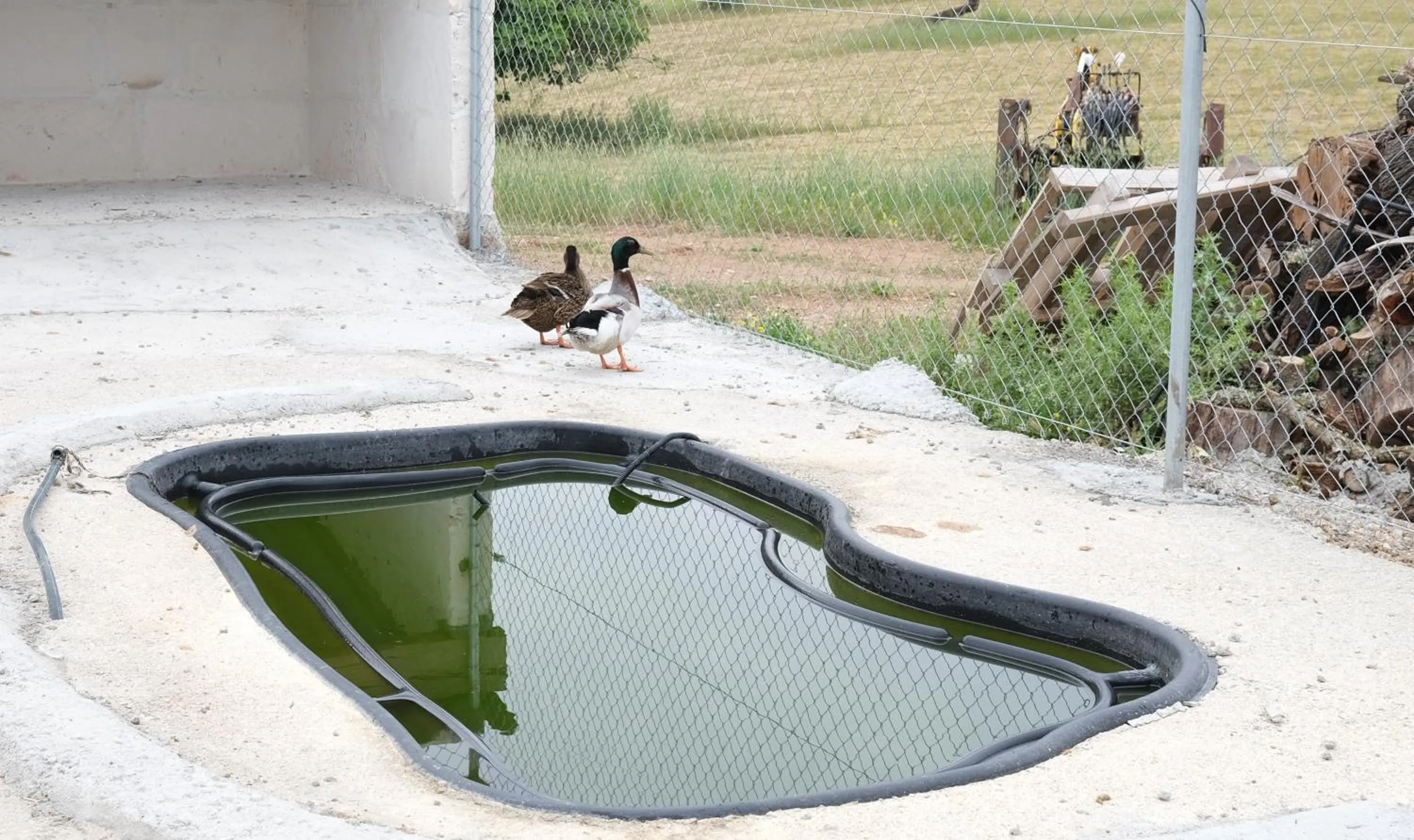 Finca Hotel Ses Cases Noves