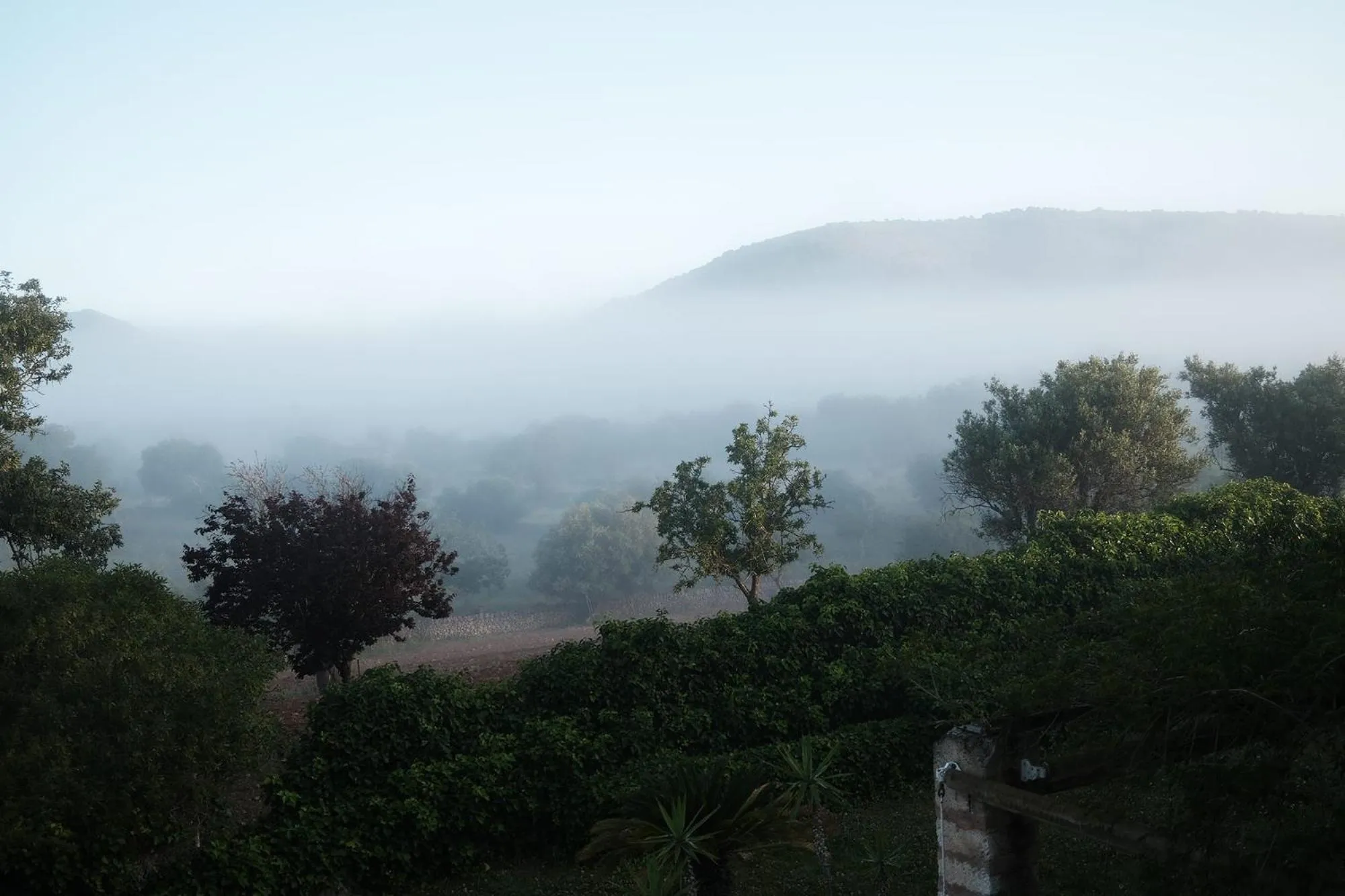 Finca Hotel Ses Cases Noves