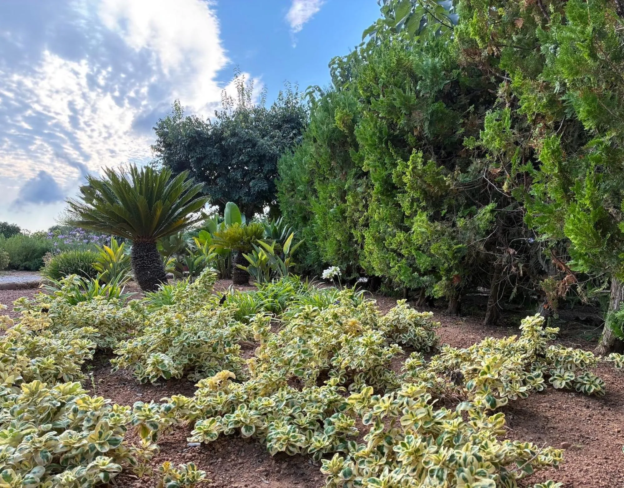 Off site in Finca Hotel Ses Cases Noves