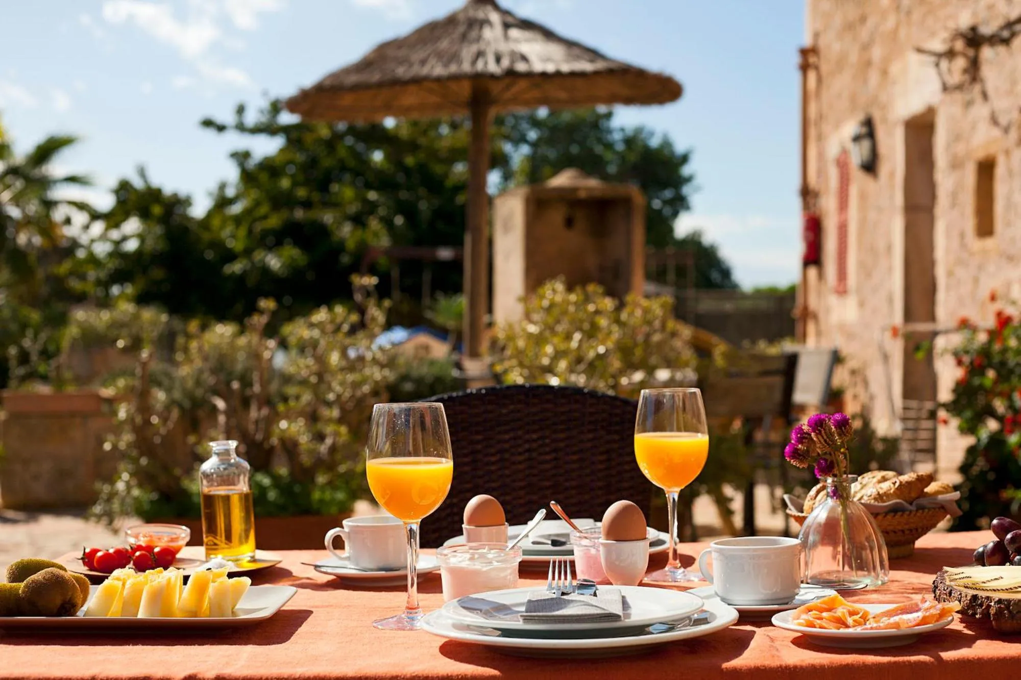 Food and drinks in Finca Hotel Ses Cases Noves