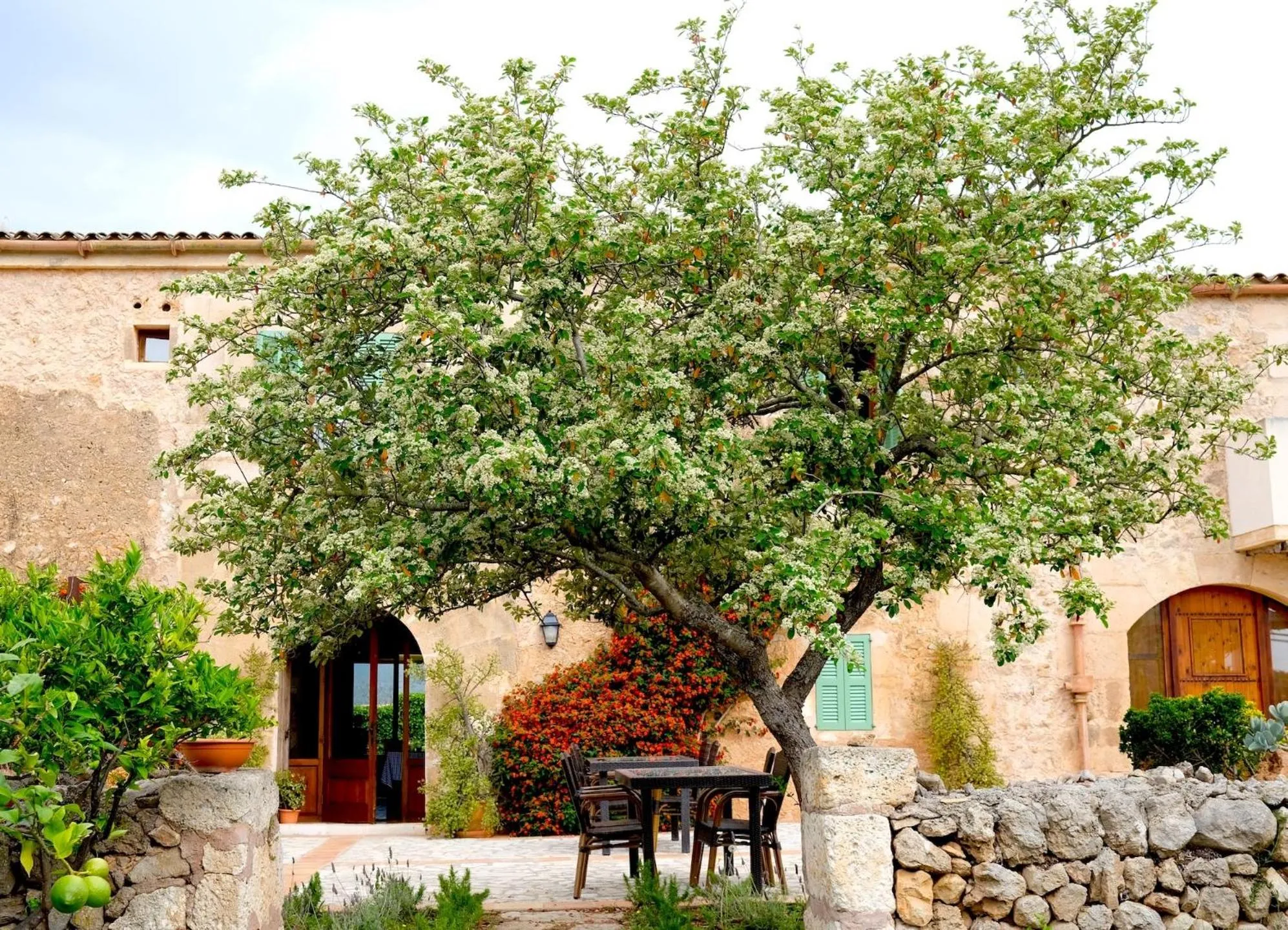 Finca Hotel Ses Cases Noves