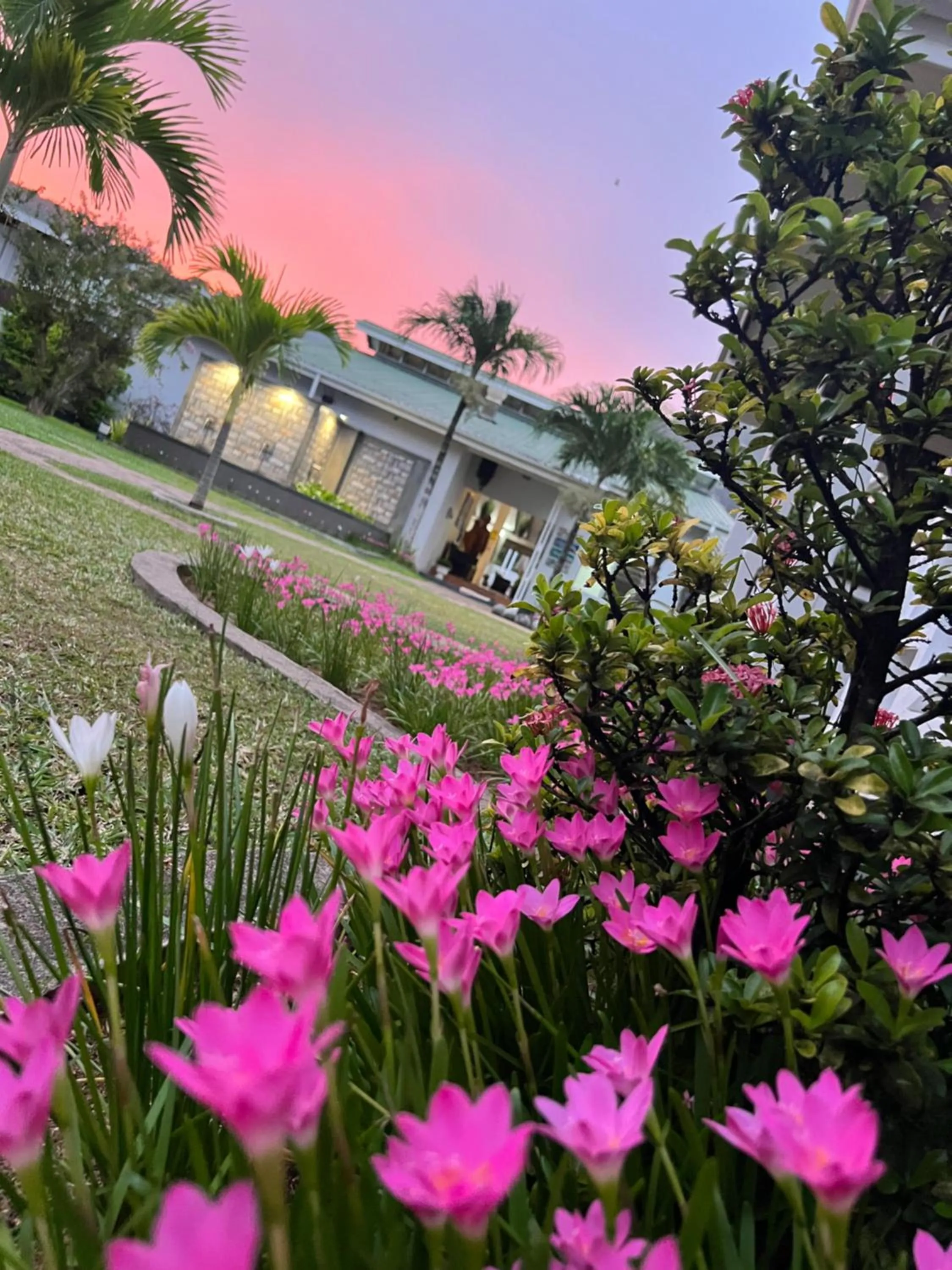 Garden view in Hotel La Roussette