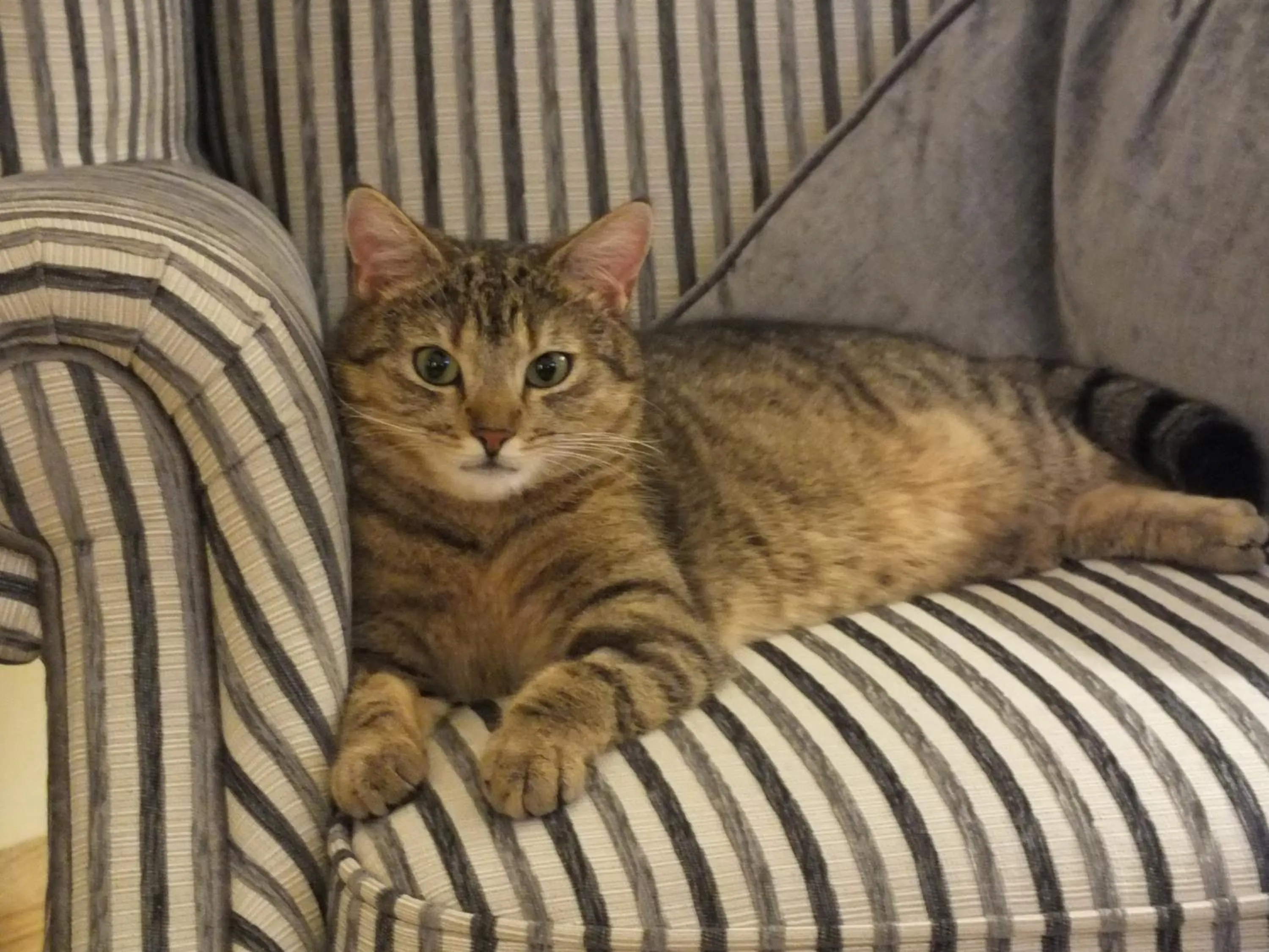 Other in Crowfield Country House