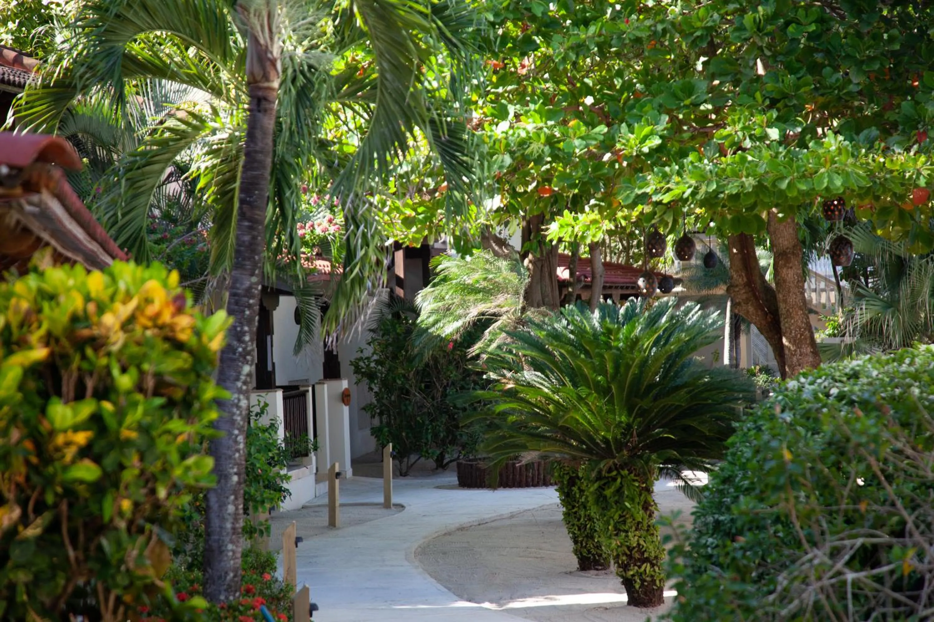 Day in Almond Beach Resort at Jaguar Reef