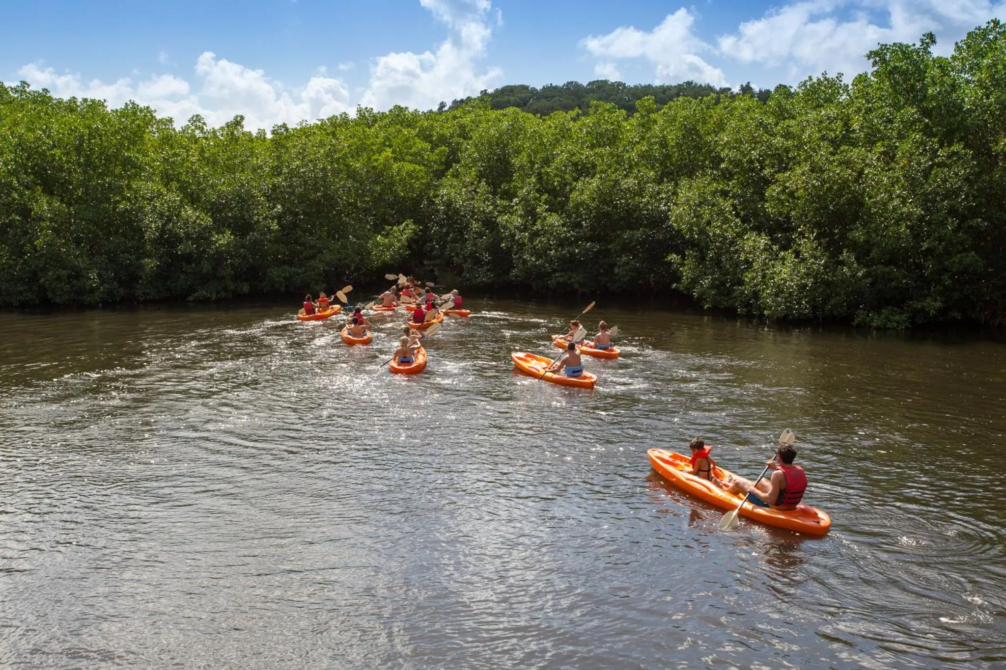 Canoeing in South Coast Horizon