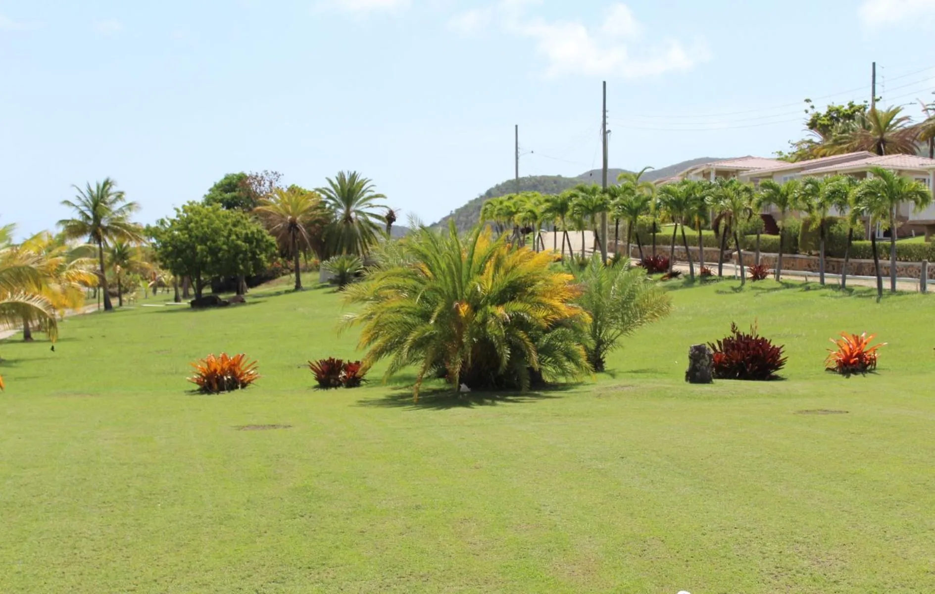 Garden view in South Coast Horizon