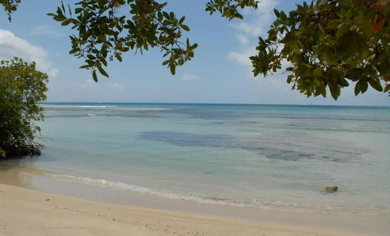 Beach in South Coast Horizon