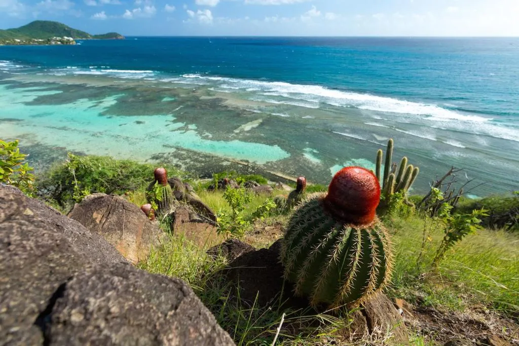 Hiking in South Coast Horizon
