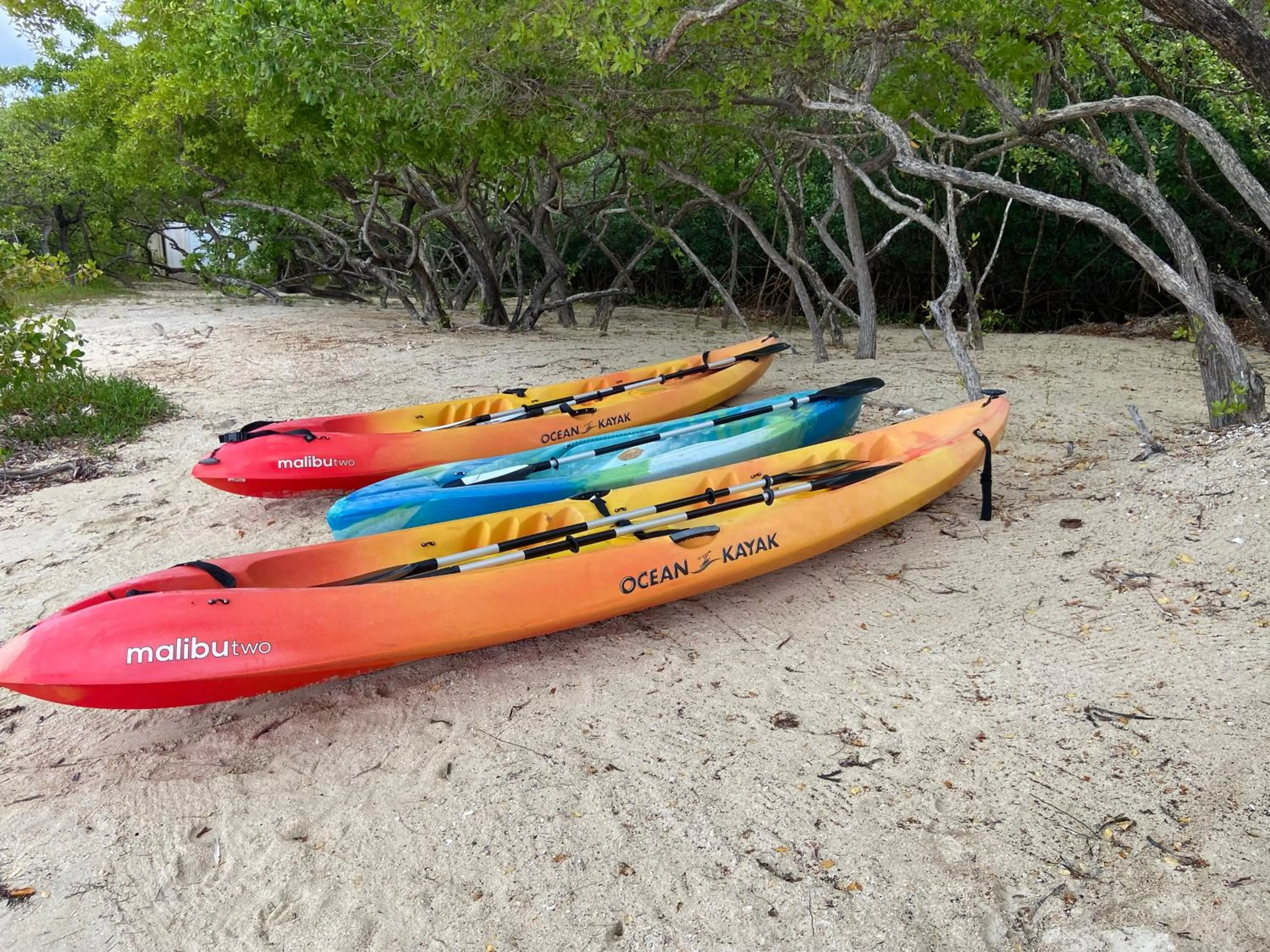 Canoeing in South Coast Horizon