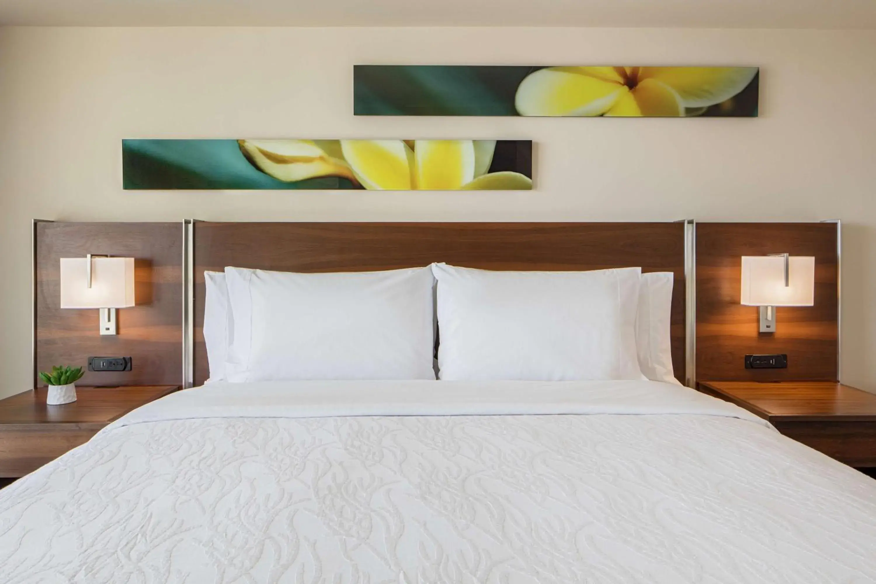 King Room with Roll In Shower and City View in Hilton Garden Inn Waikiki Beach King Room with Roll In Shower and City View in Hilton Garden Inn Waikiki Beach