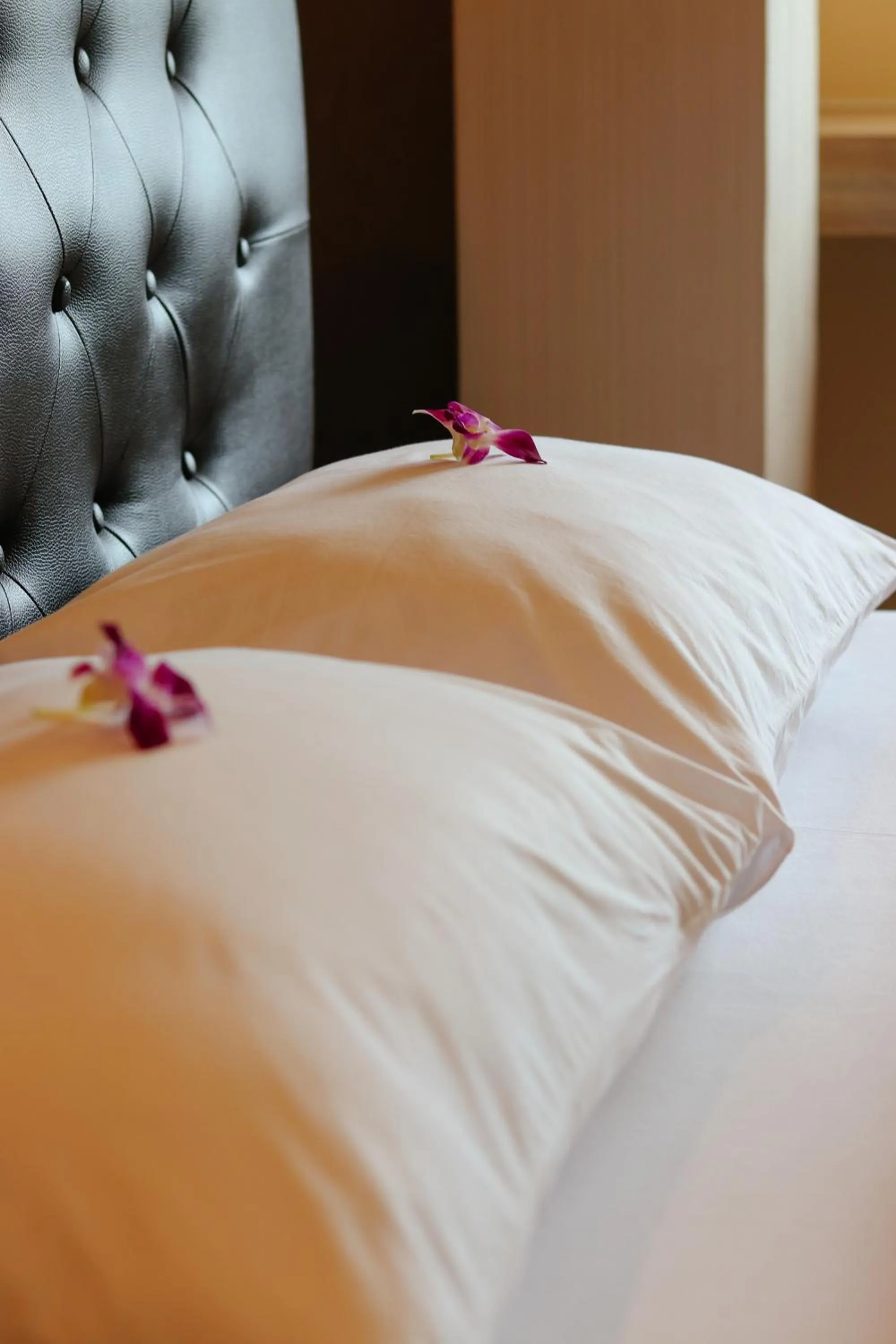 Bed in Tripletreesvillage