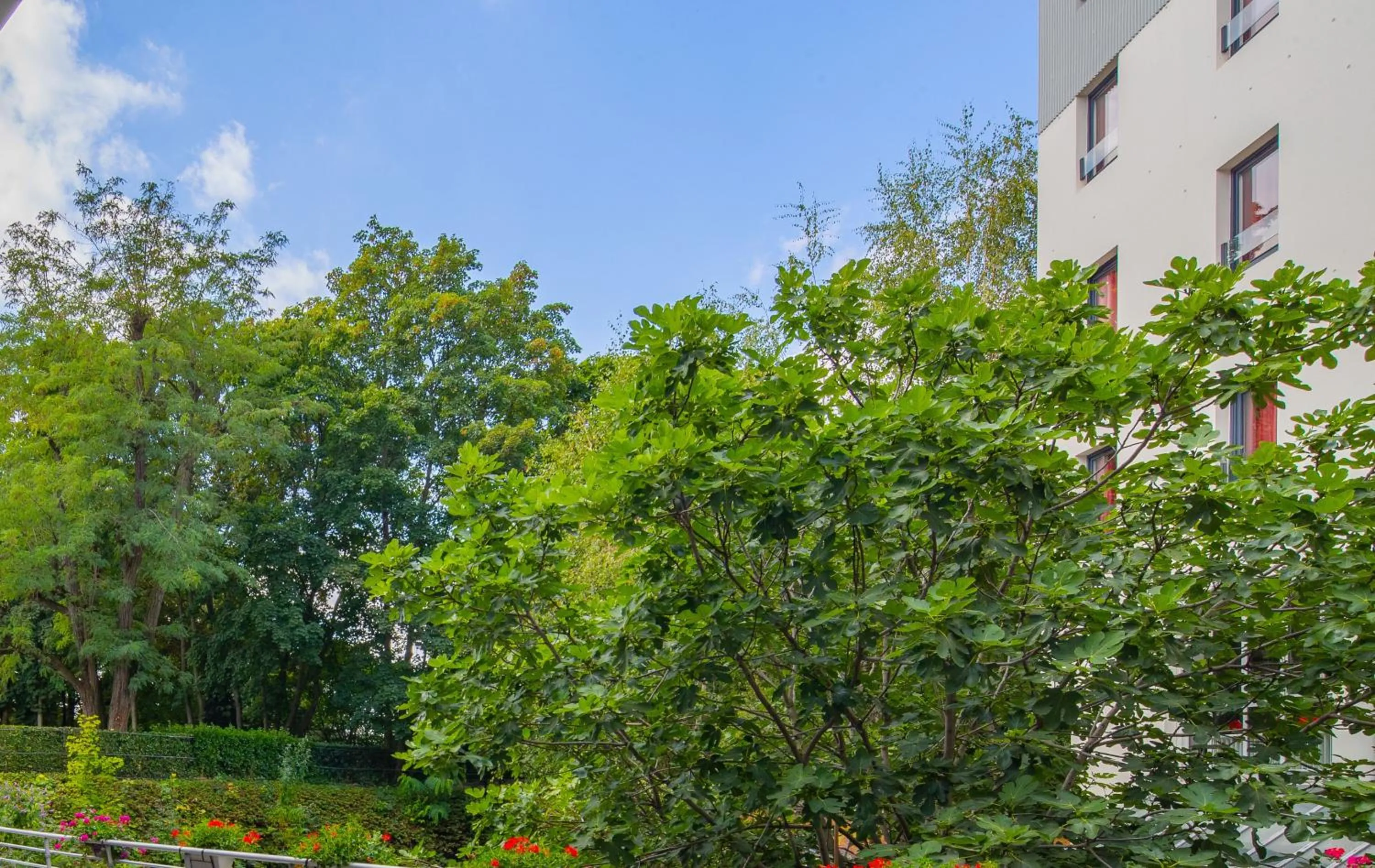 Restaurant/places to eat in Hotel CIS Paris Kellermann