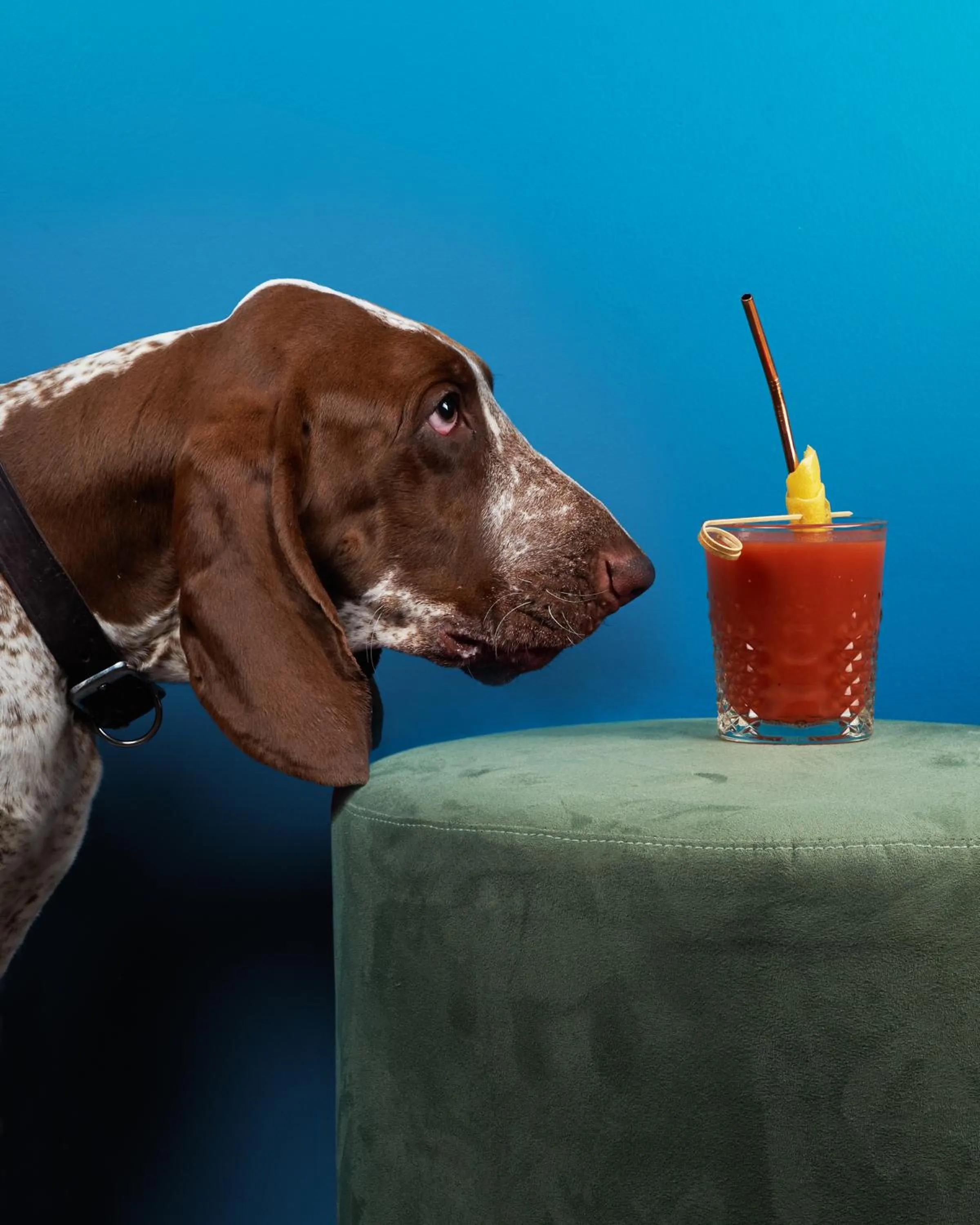 Lounge or bar in 73 Boutique Hotel