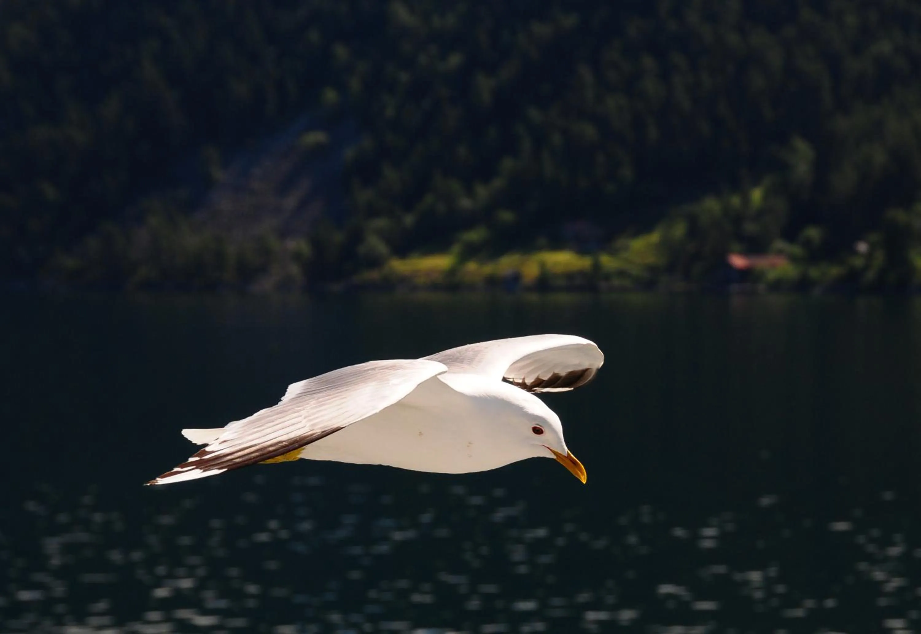Natural landscape in Visit Undredal