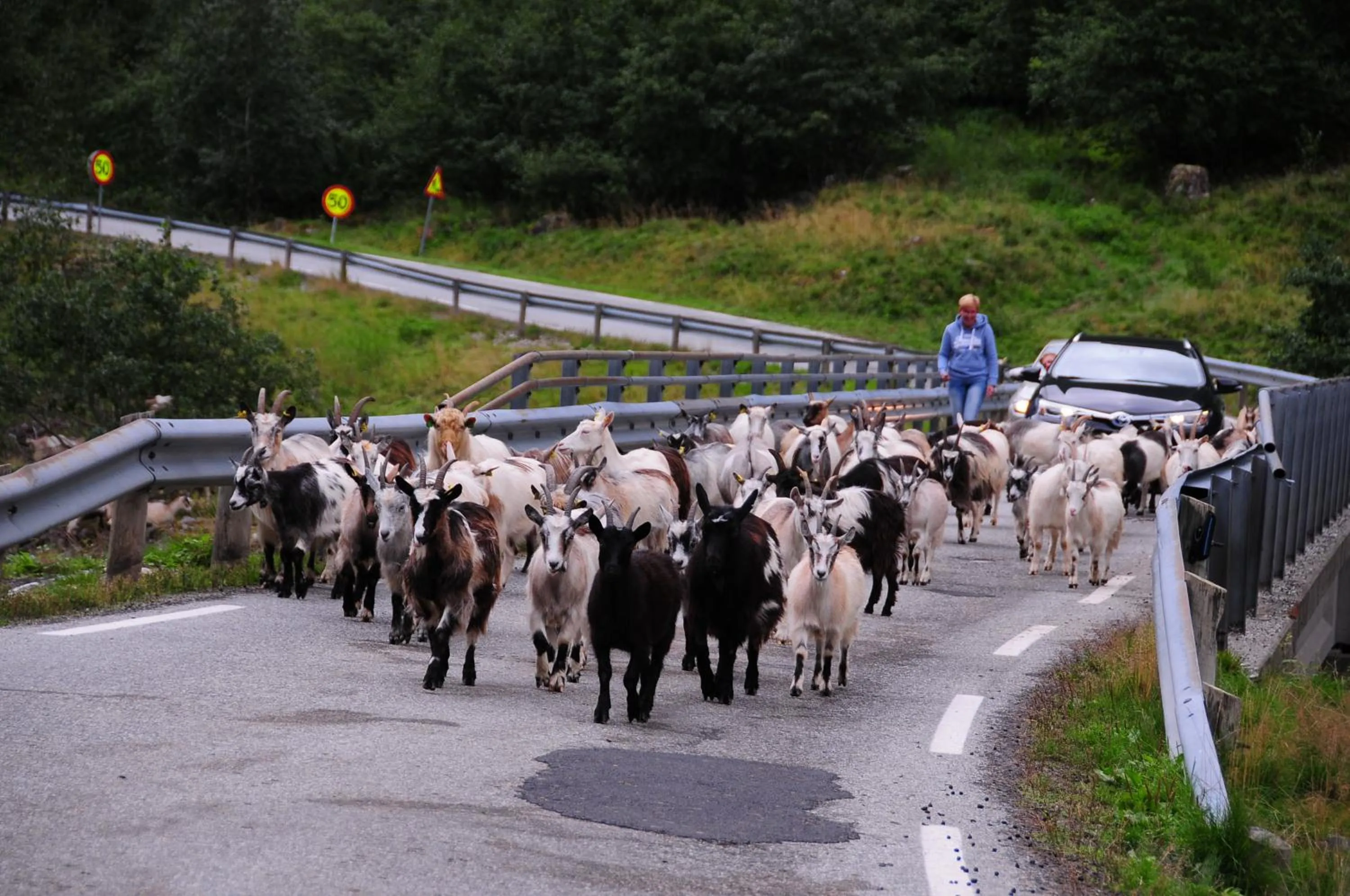 Nearby landmark in Visit Undredal
