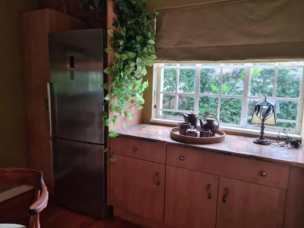 Kitchen or kitchenette in The Great Gatsby Houghton