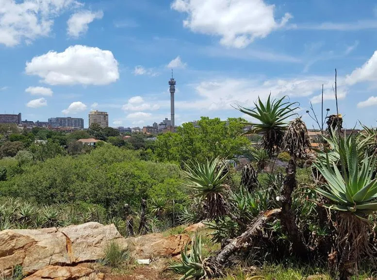 Nearby landmark in The Great Gatsby Houghton