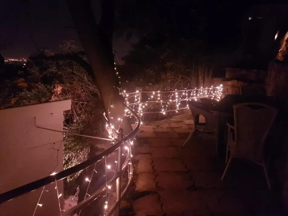 Night in The Great Gatsby Houghton