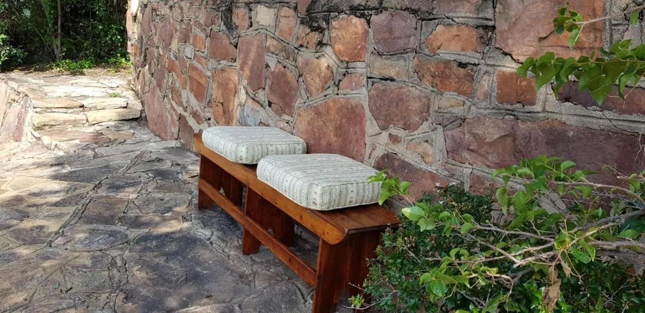 Garden in The Great Gatsby Houghton