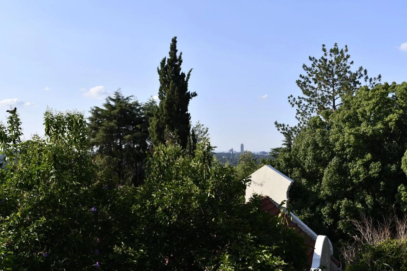 View (from property/room) in The Great Gatsby Houghton