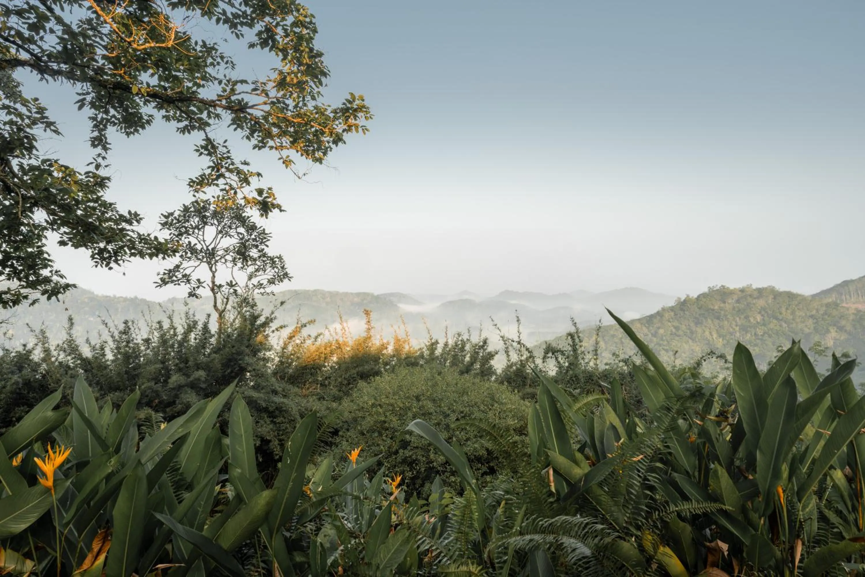 Mountain view in Glenross Living - A Collection of 7 Private Pool Villas and 3 Colonial Suites