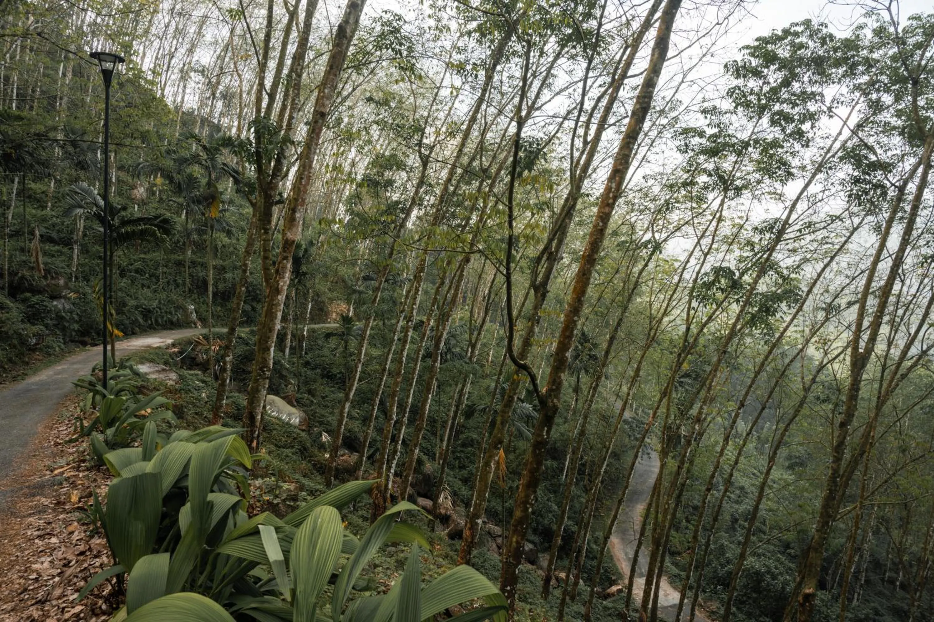 acessibility in Glenross Living - A Collection of 7 Private Pool Villas and 3 Colonial Suites