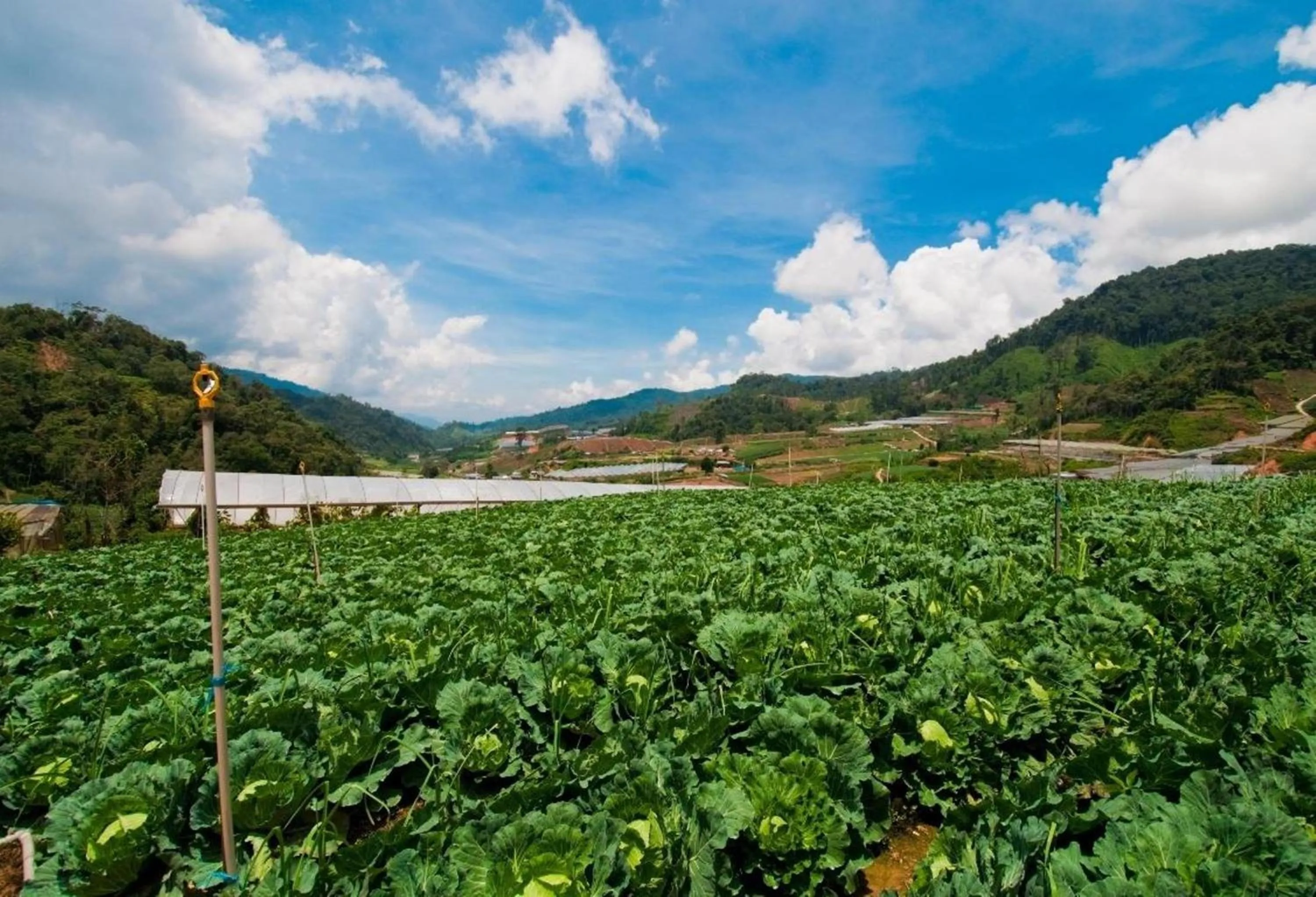 Activities in Strawberry Park Resort