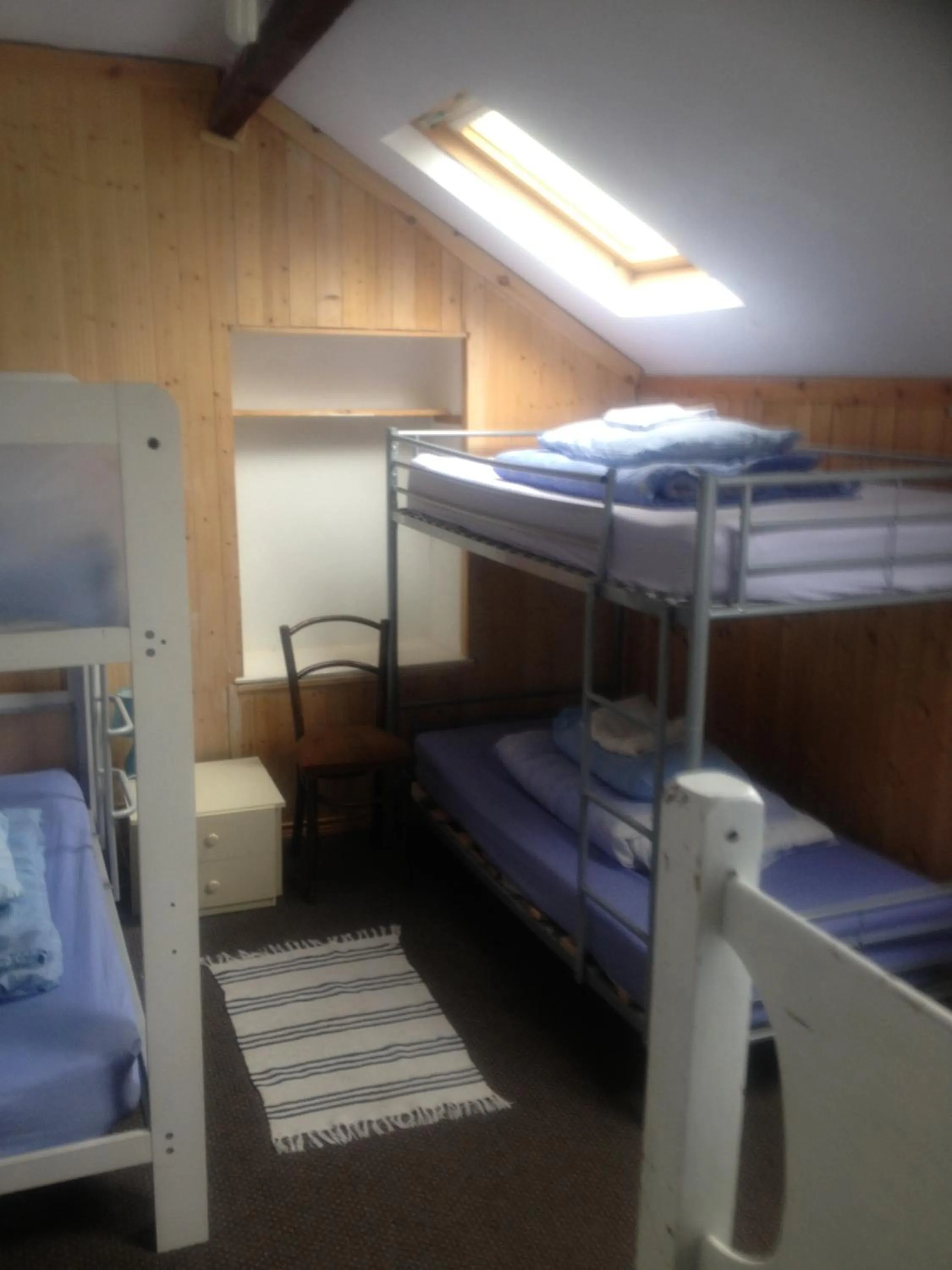 bunk bed in Causeway Coast Independent Hostel