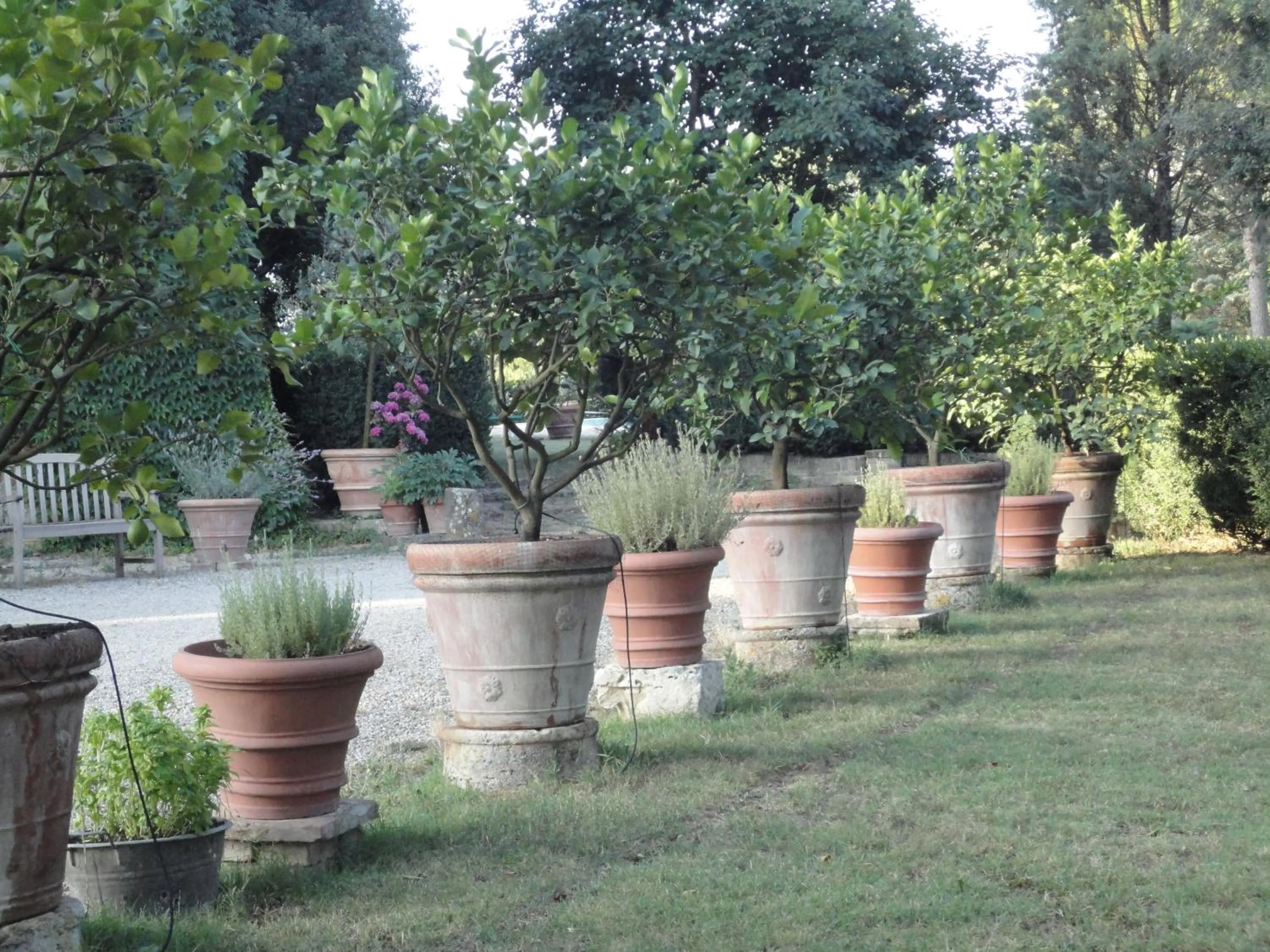 Garden in Castello di San Fabiano