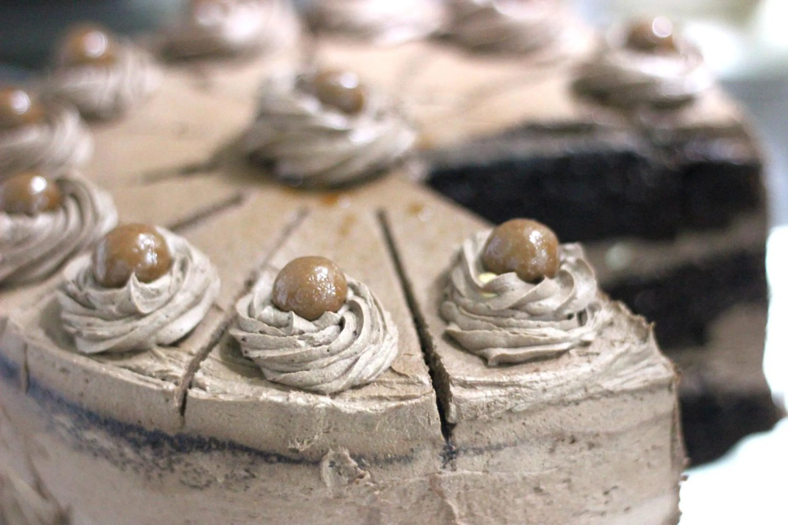 Restaurant/places to eat in Ecolux Boutique Hotel