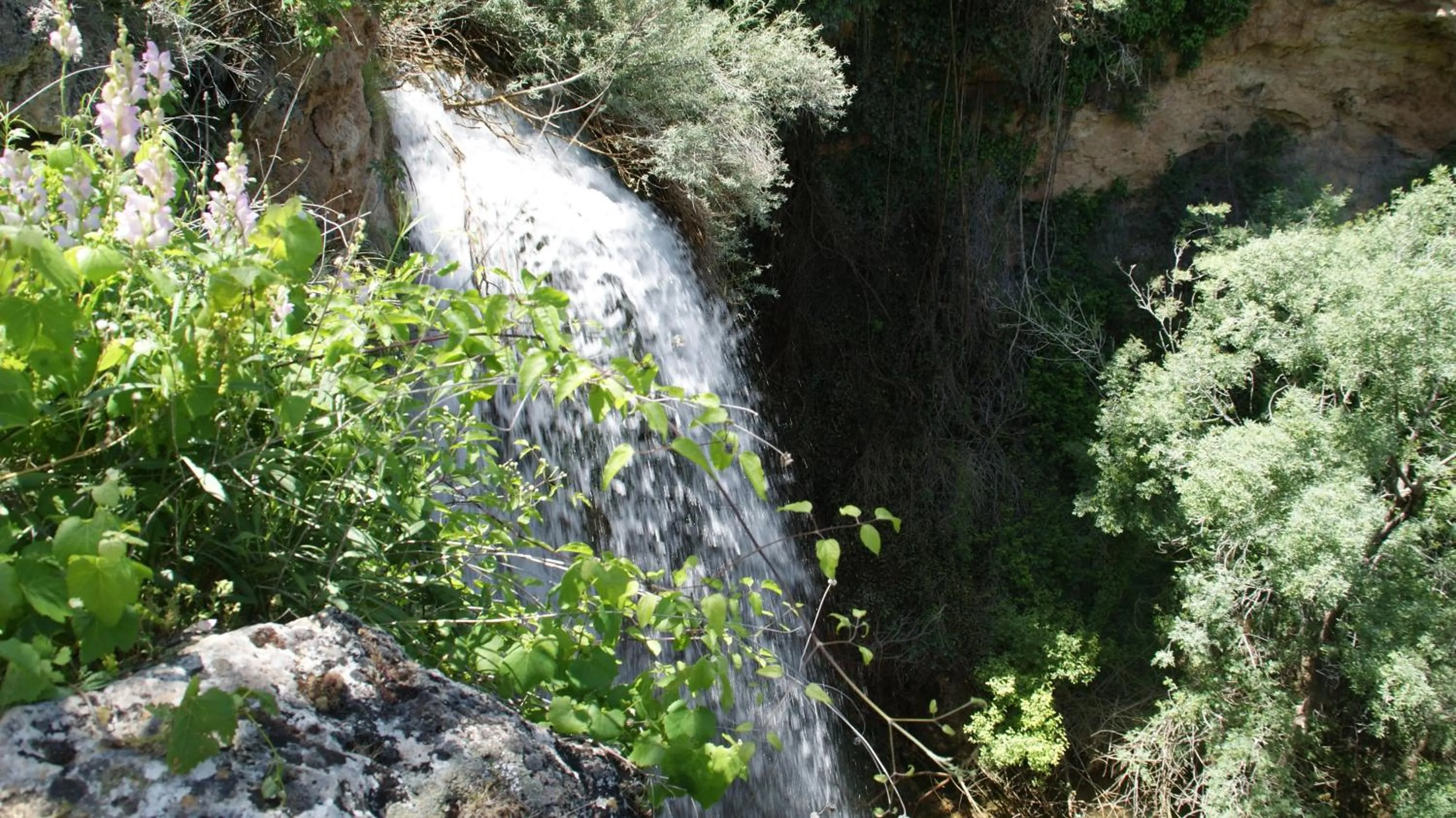 Nearby landmark in Casas Rurales Cortijo Bellavista