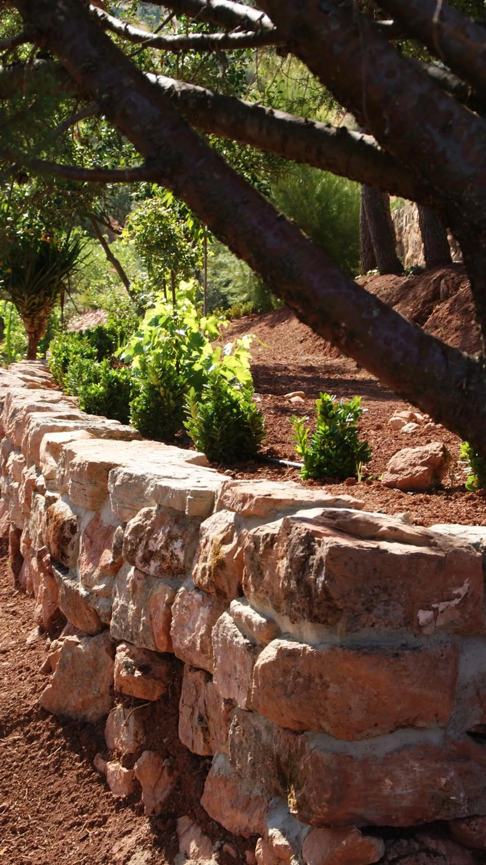 Garden in Casas Rurales Cortijo Bellavista