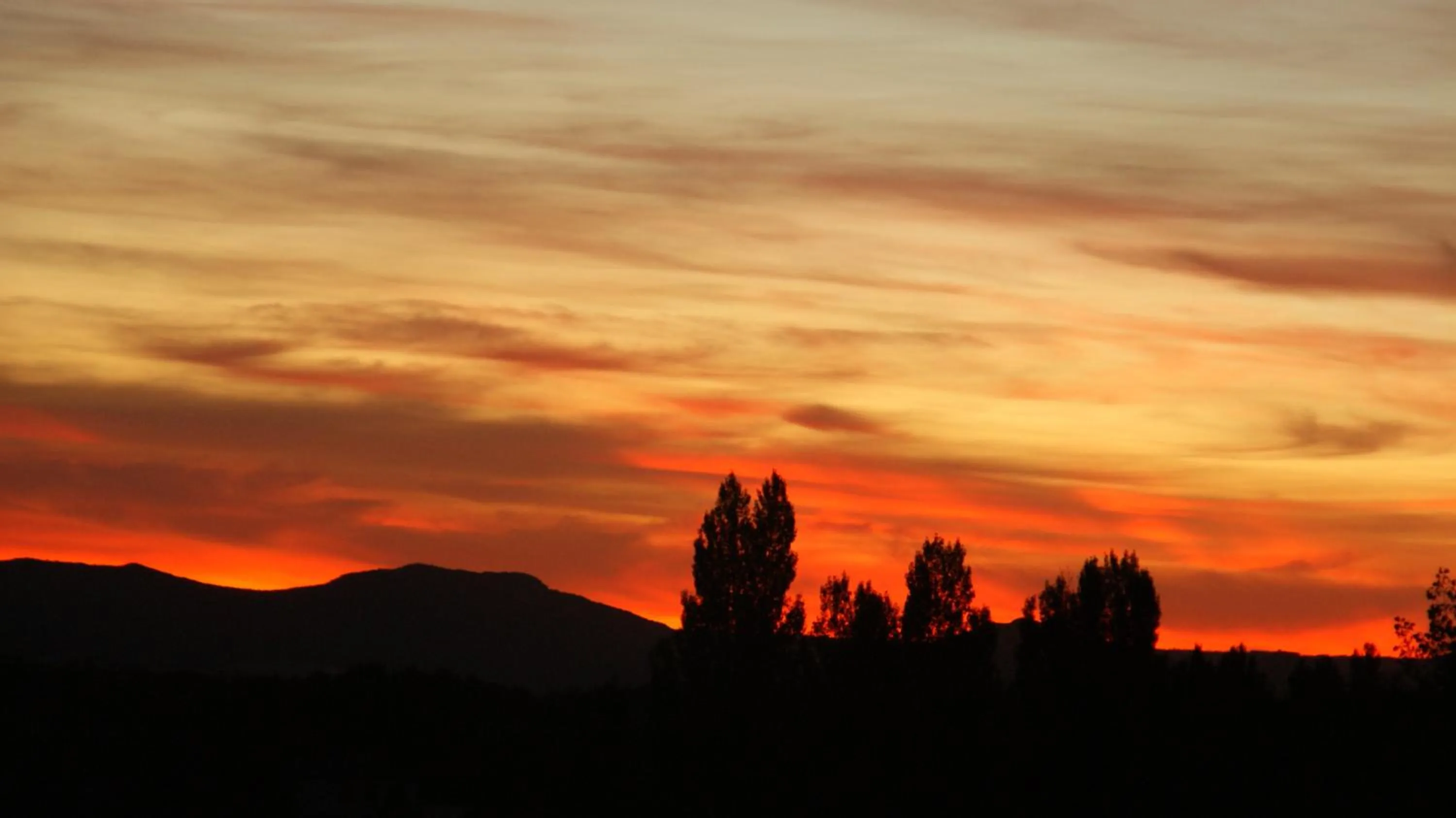 Natural landscape in Casas Rurales Cortijo Bellavista