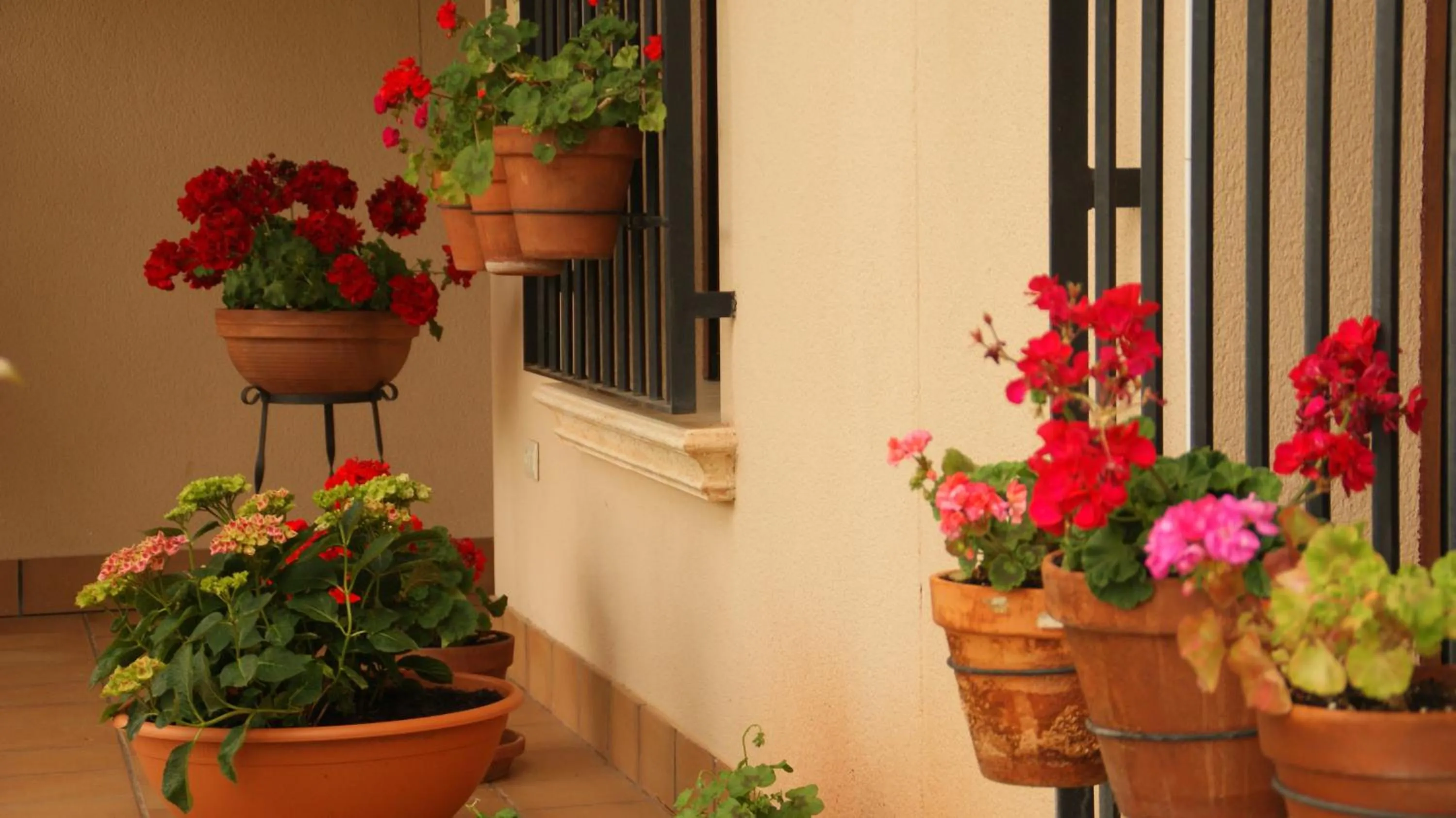 Facade/entrance in Casas Rurales Cortijo Bellavista